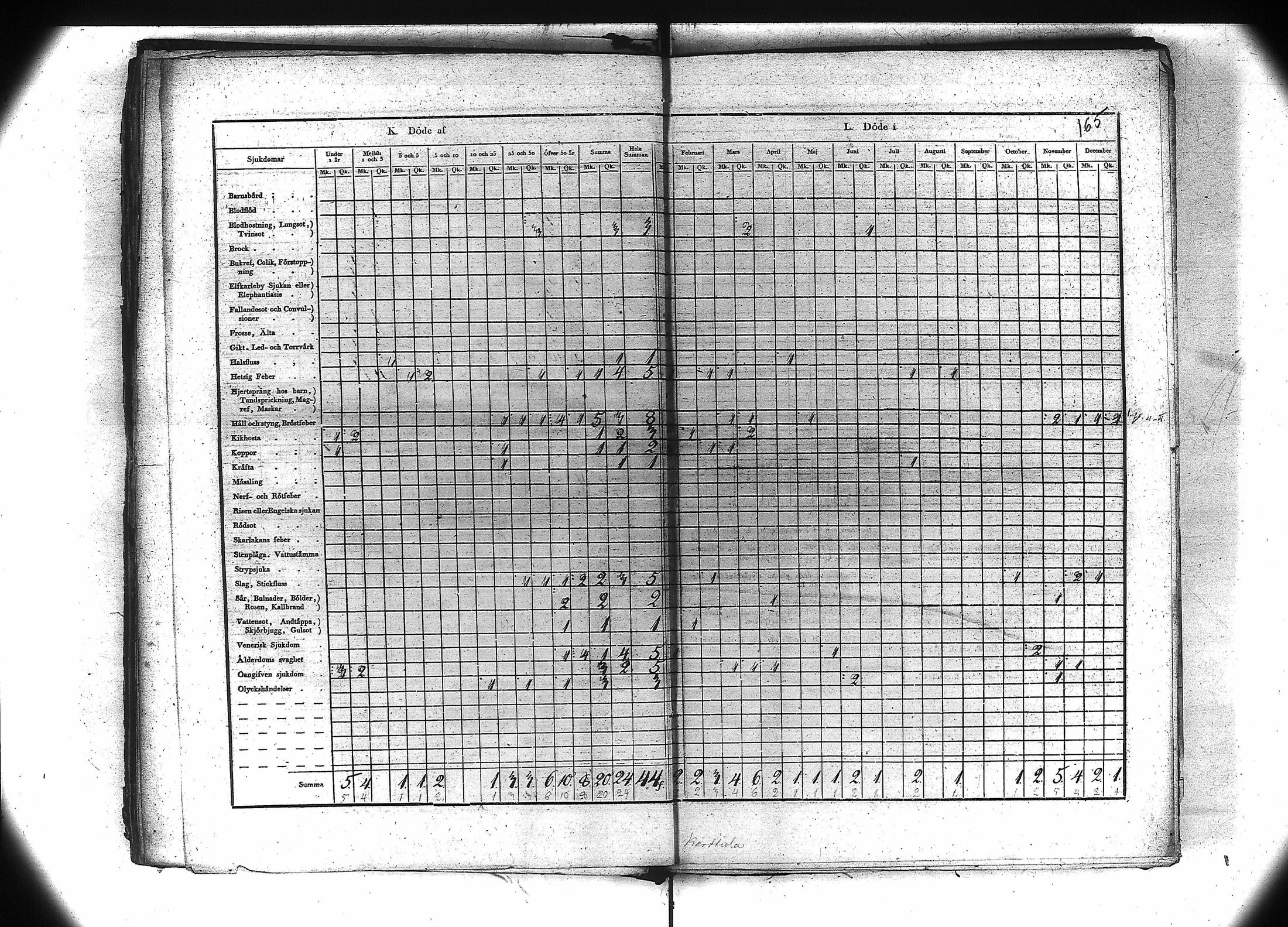 [ kuvat/158.jpg ]