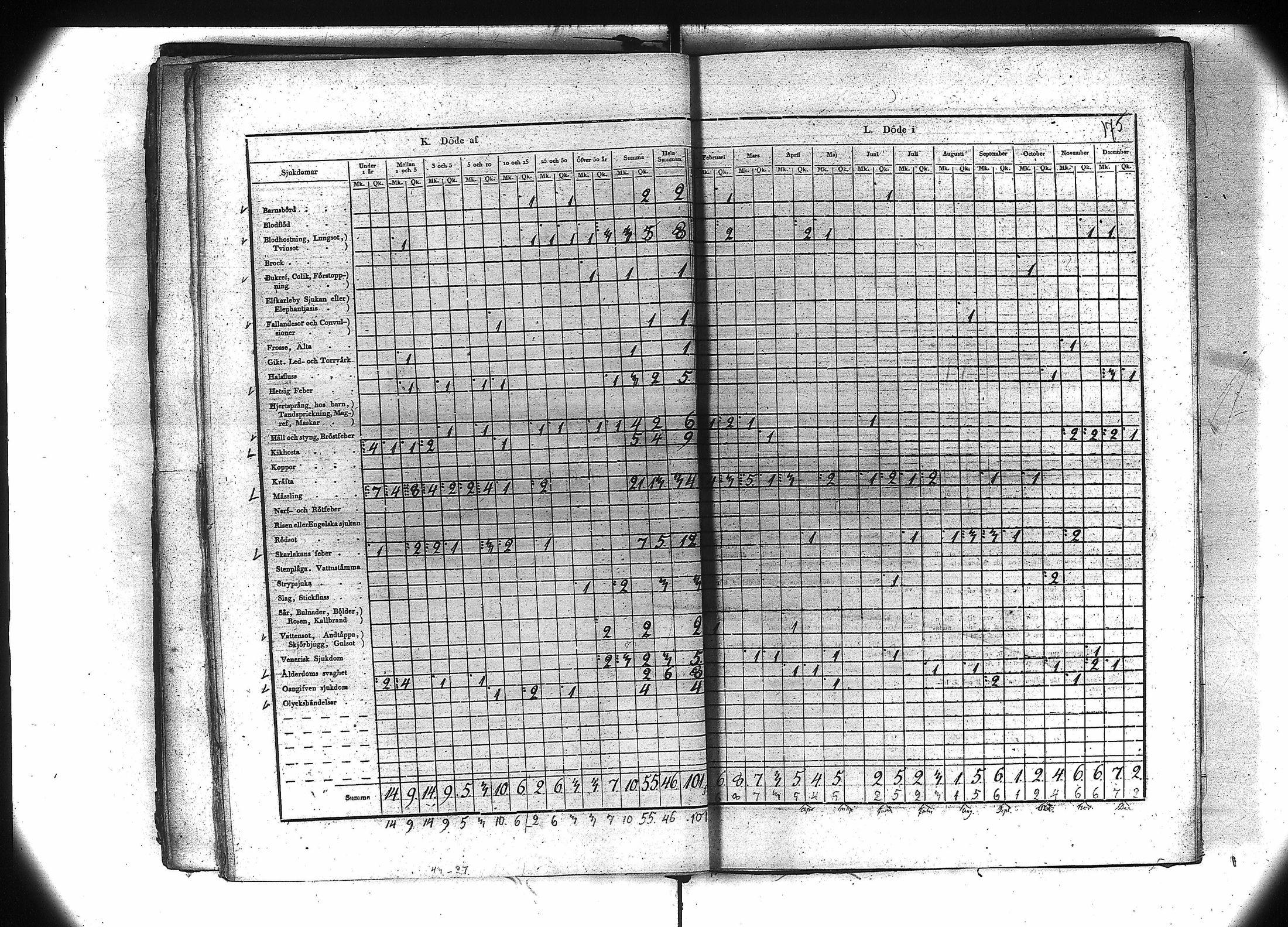 [ kuvat/168.jpg ]