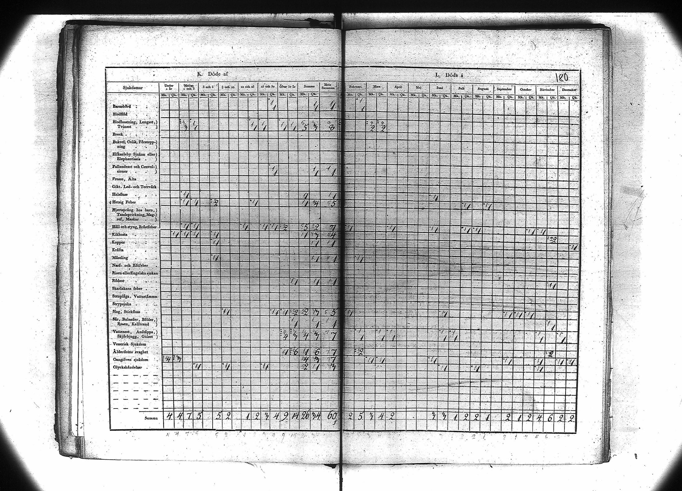 [ kuvat/173.jpg ]