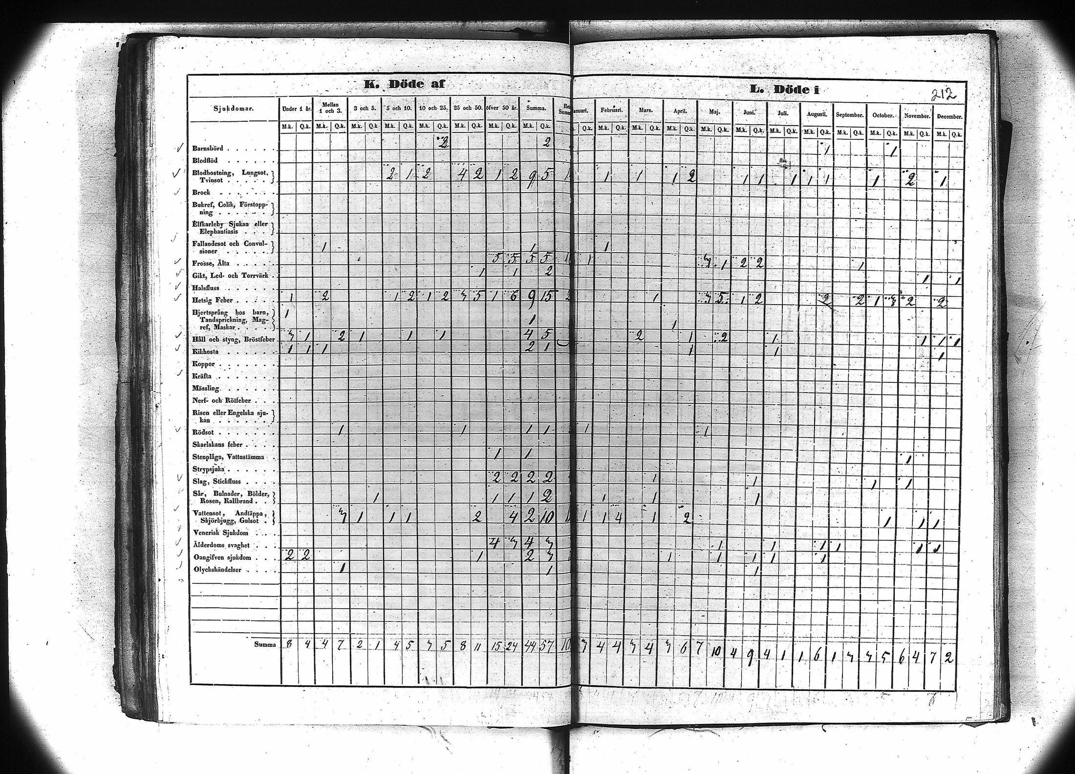 [ kuvat/205.jpg ]