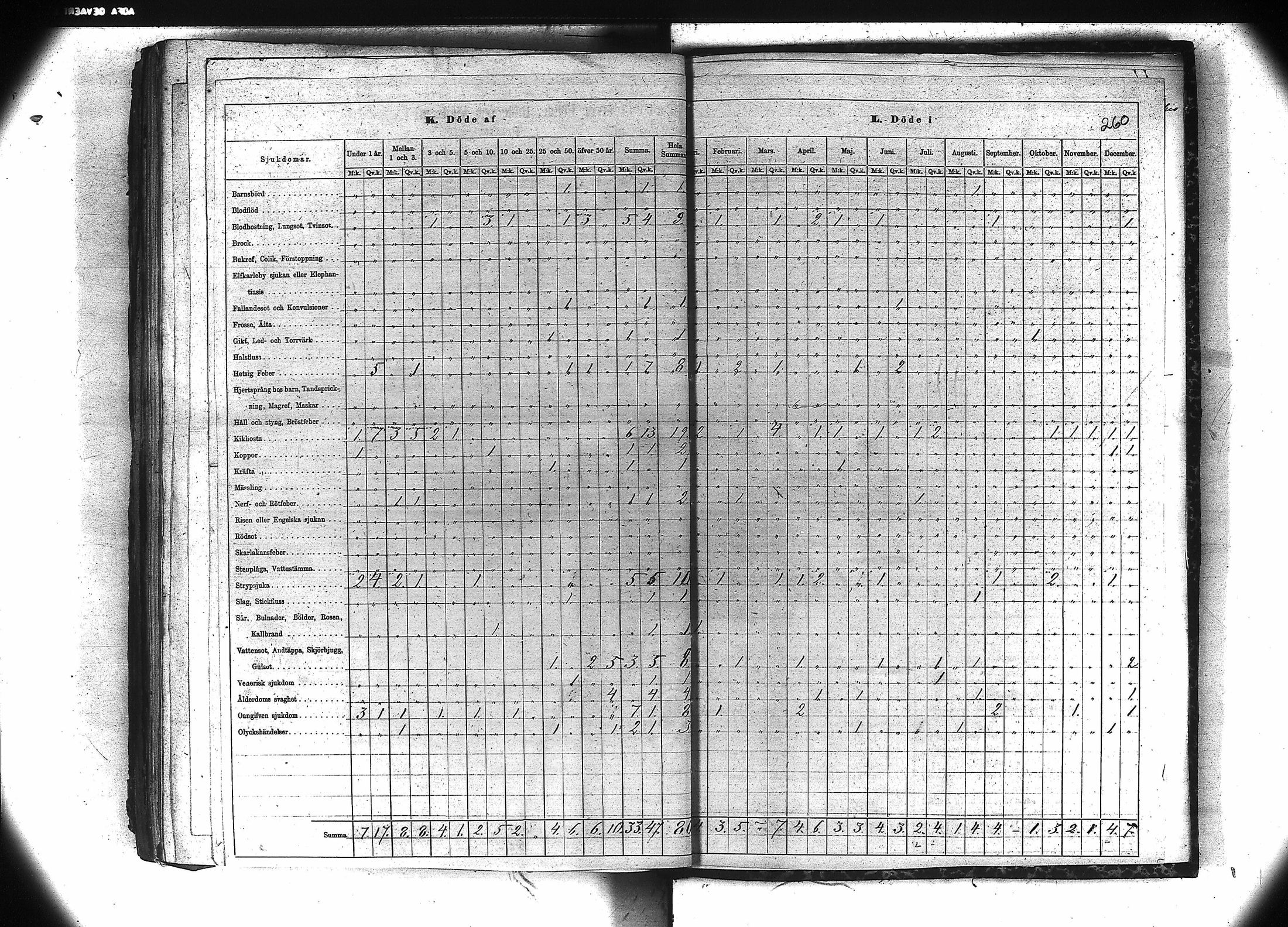 [ kuvat/253.jpg ]