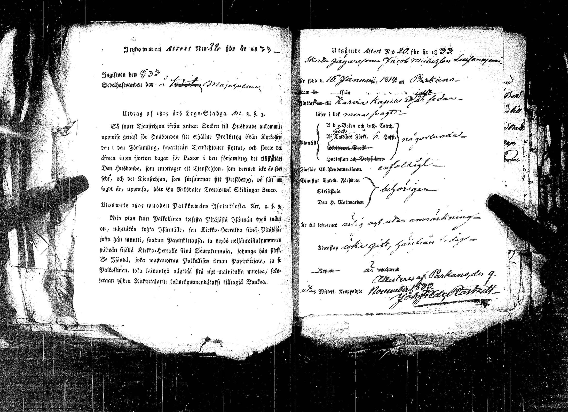 [ kuvat/443.jpg ]