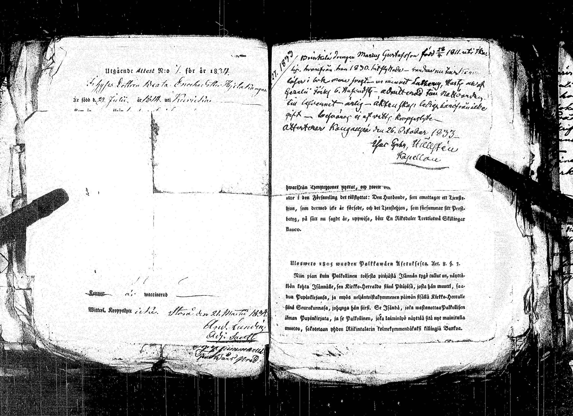 [ kuvat/472.jpg ]