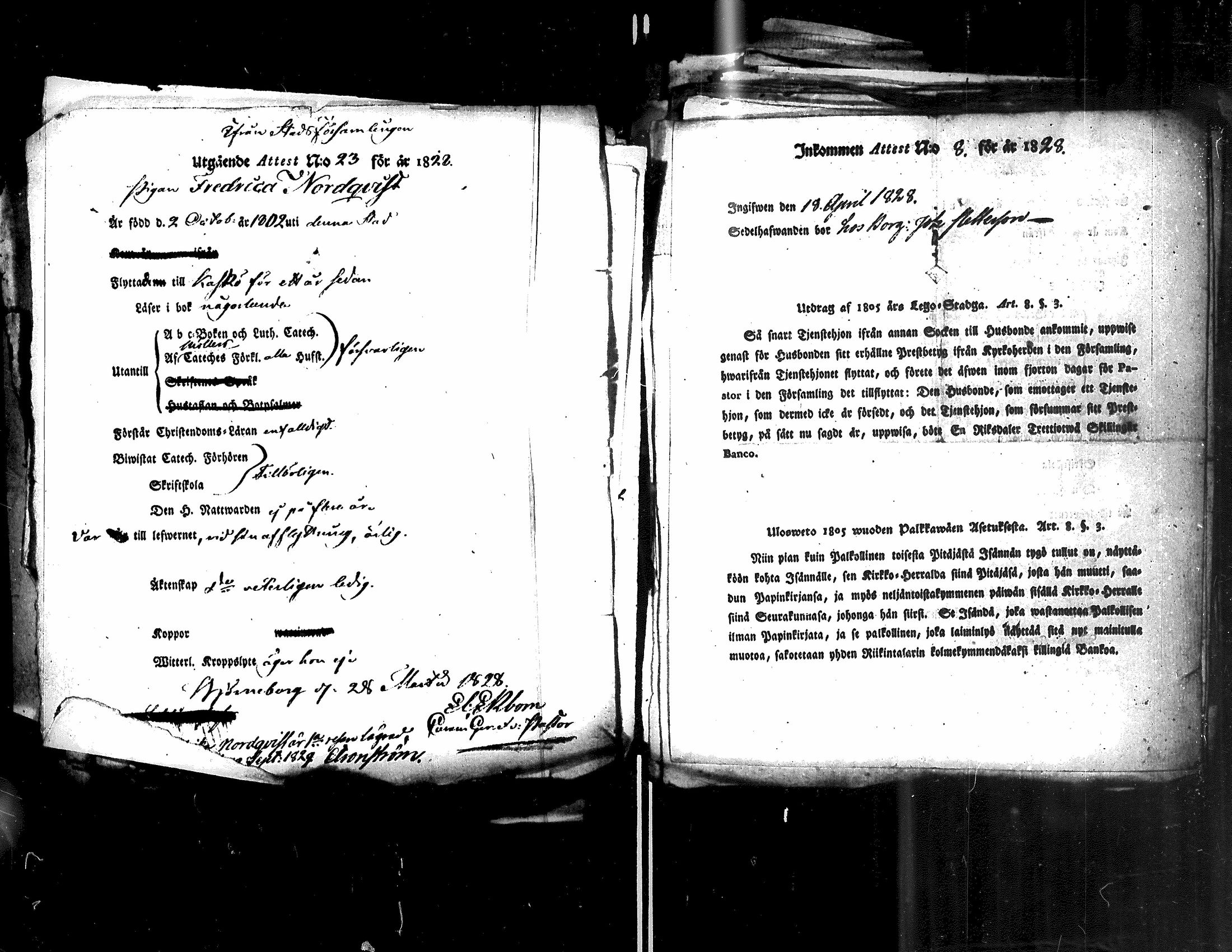 [ kuvat/196.jpg ]