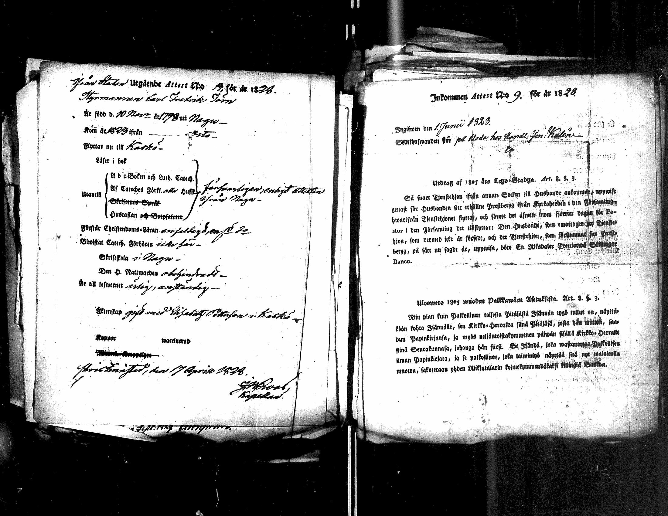 [ kuvat/197.jpg ]