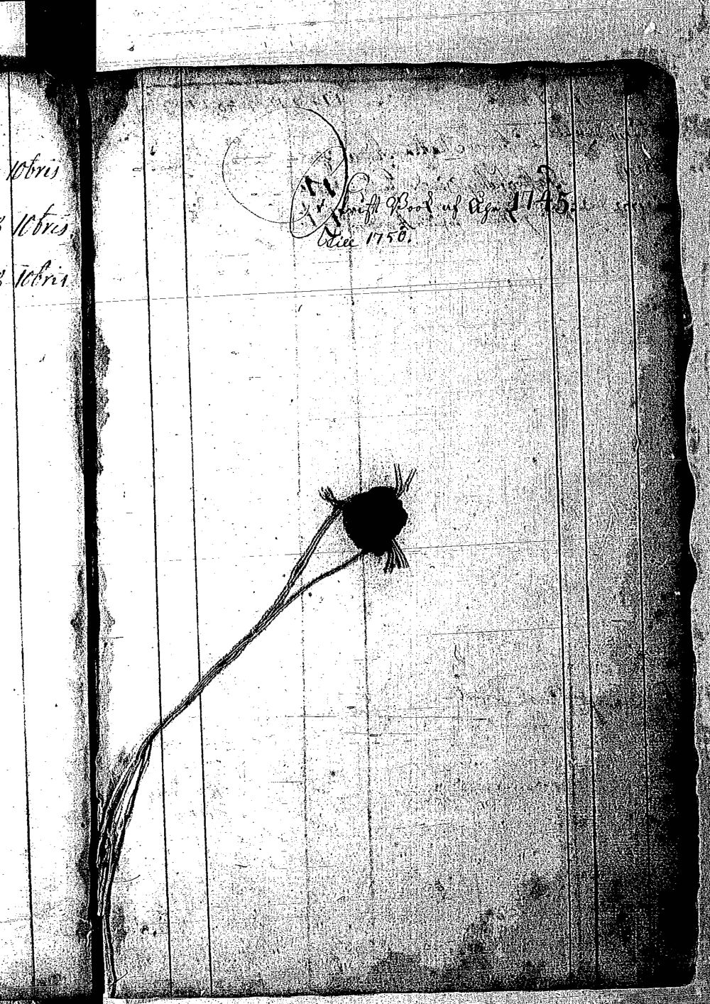 [ kuvat/146.jpg ]