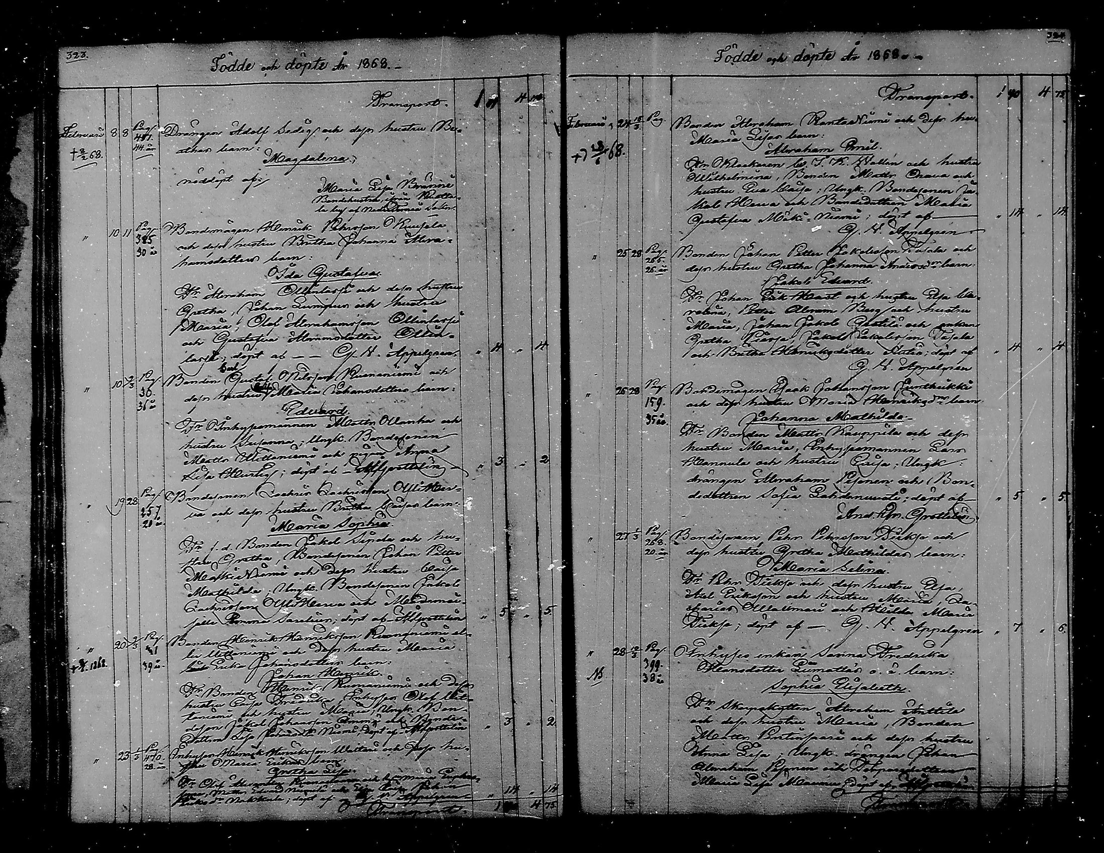 [ kuvat/162.jpg ]