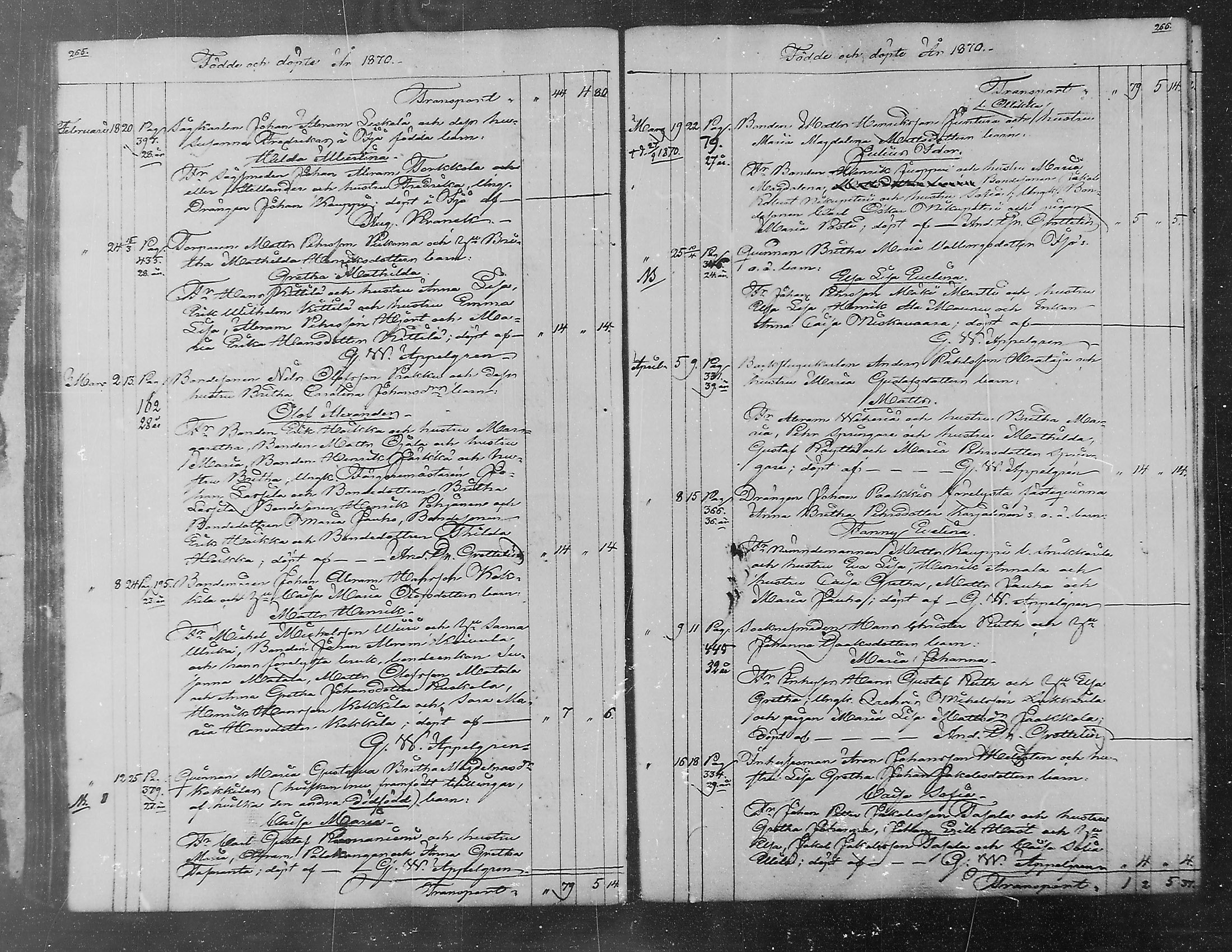 [ kuvat/183.jpg ]