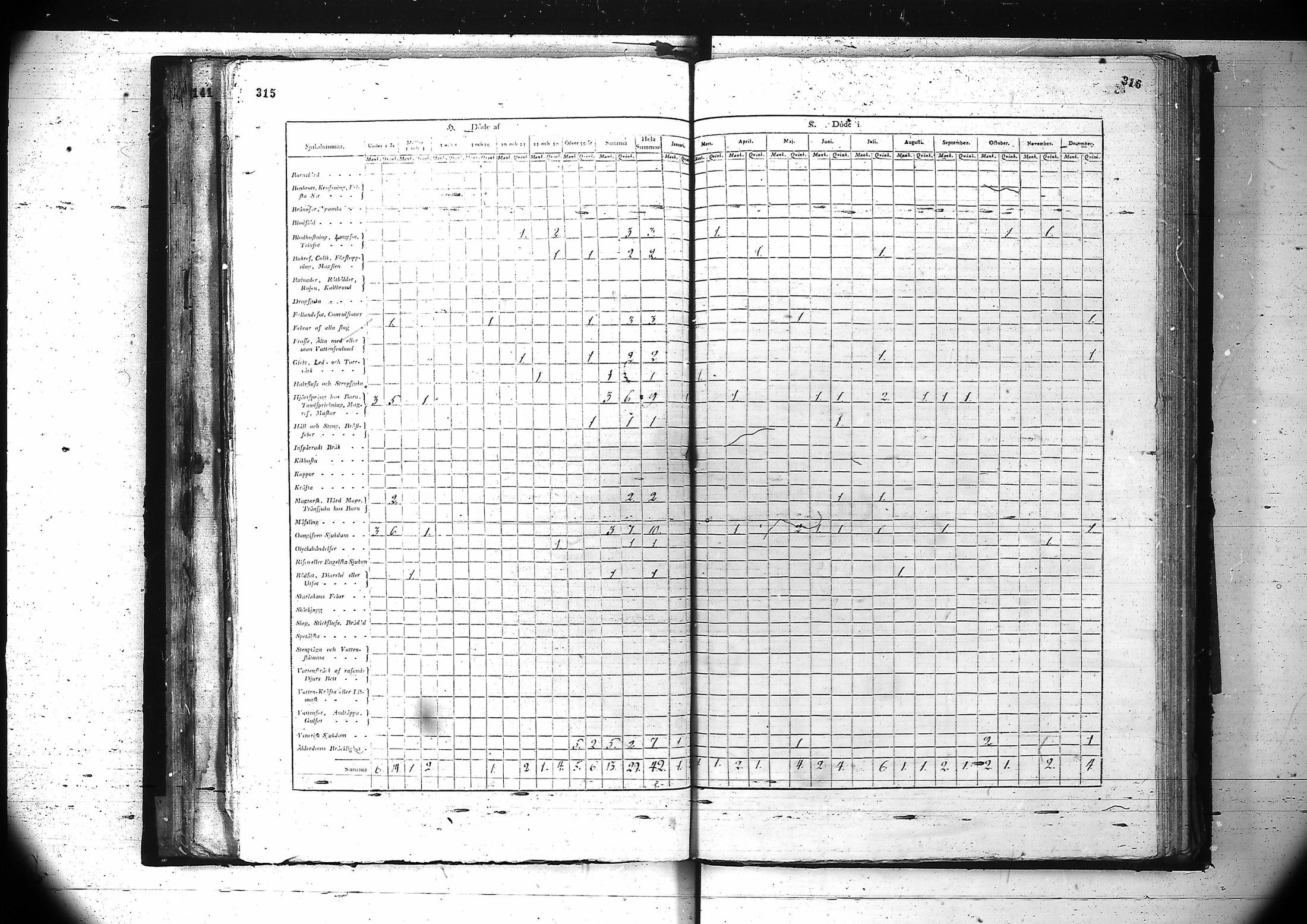 [ kuvat/166.jpg ]