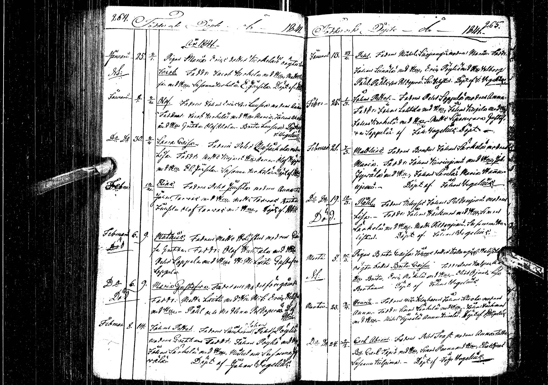 [ kuvat/134.jpg ]