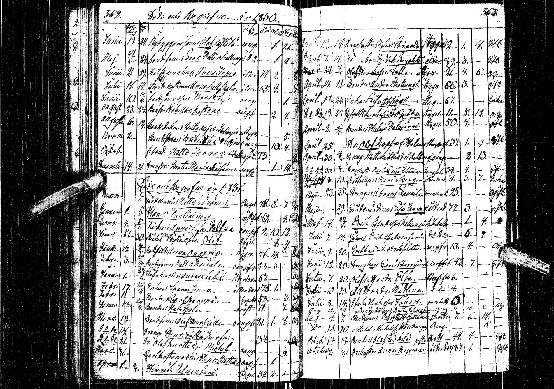 [ kuvat/176.jpg ]