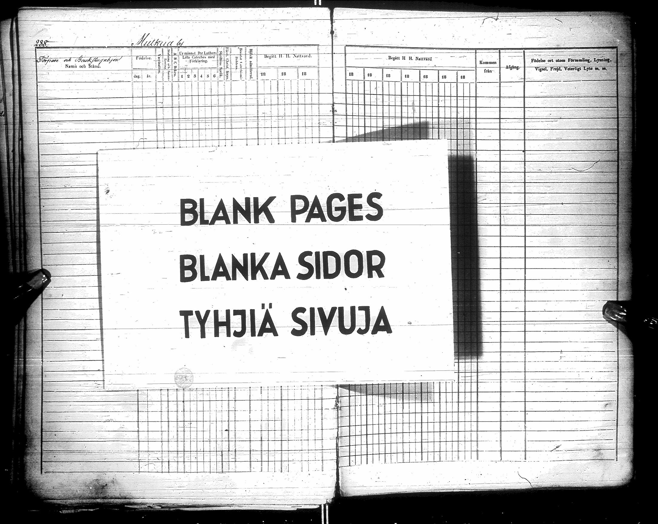 [ kuvat/288.jpg ]