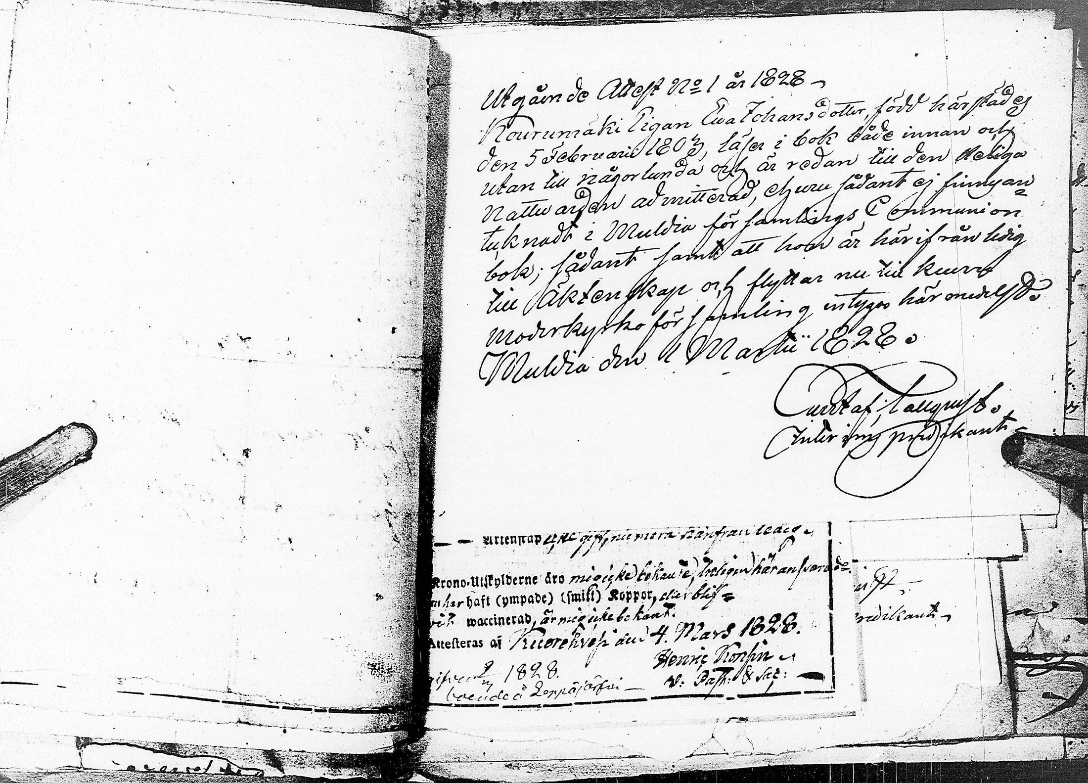 [ kuvat/149.jpg ]