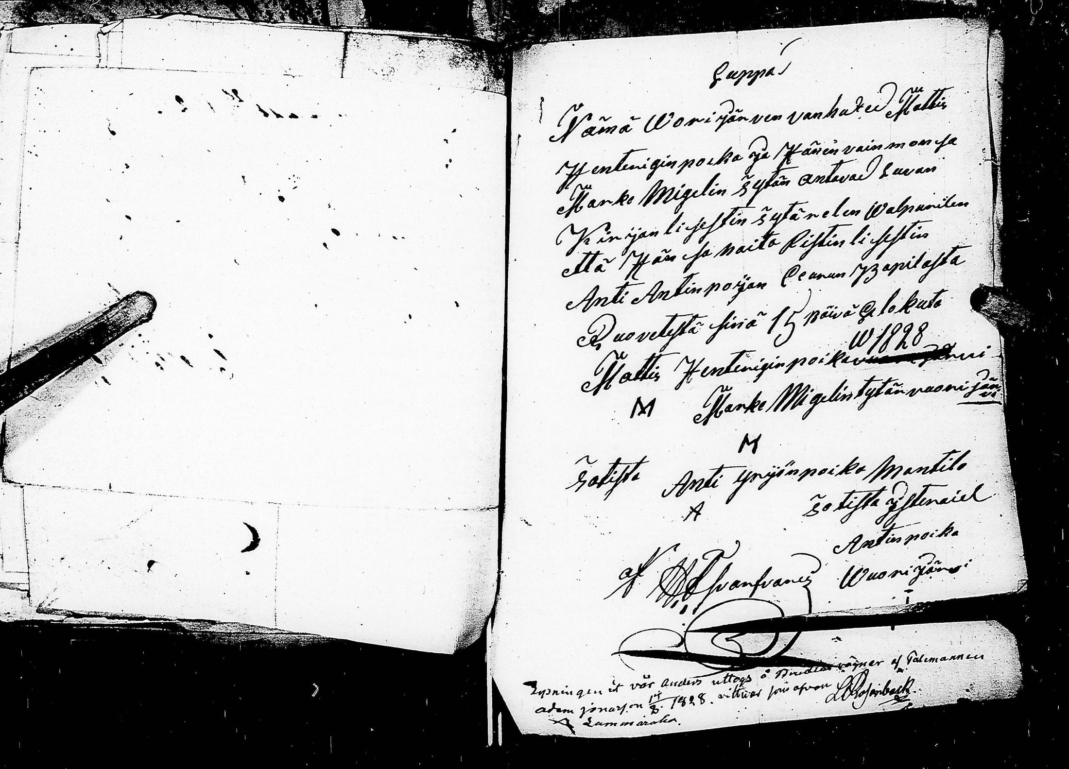 [ kuvat/195.jpg ]