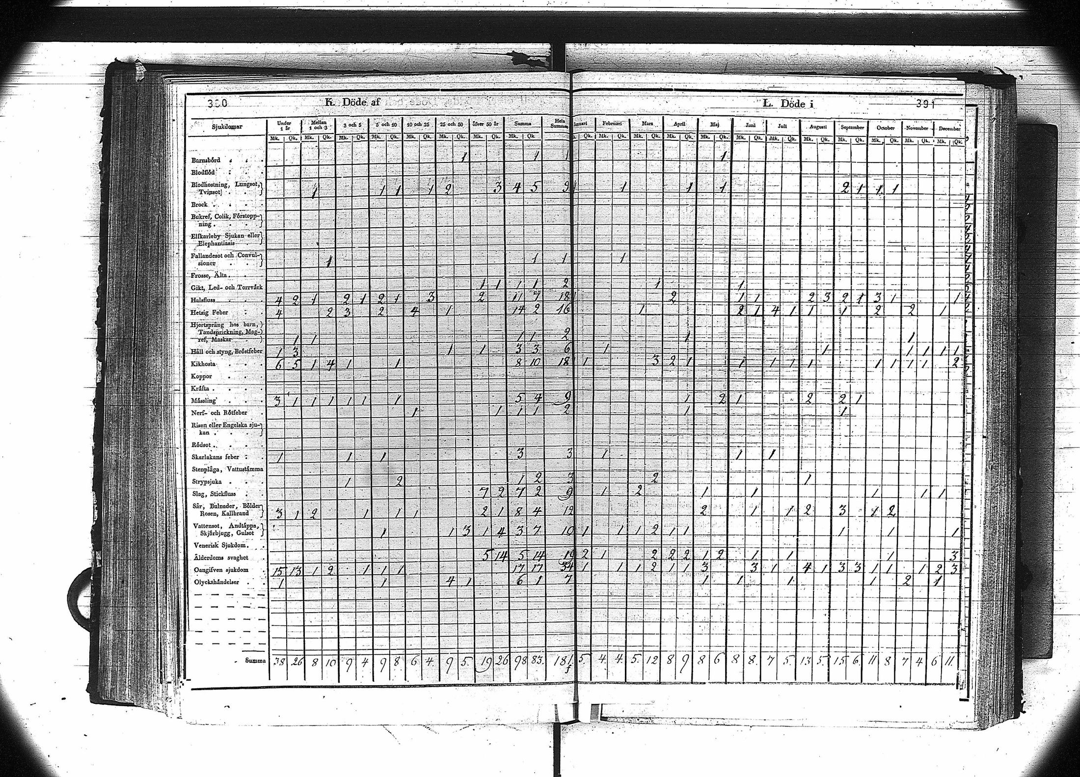 [ kuvat/197.jpg ]