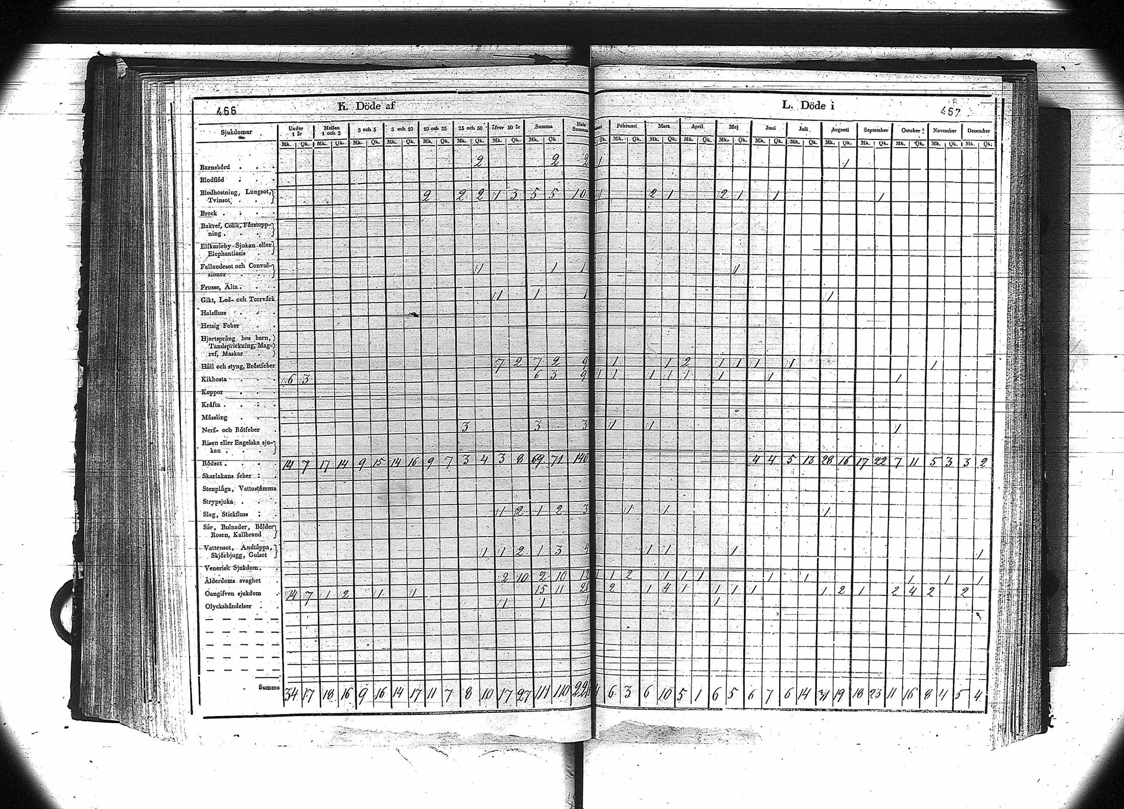 [ kuvat/235.jpg ]