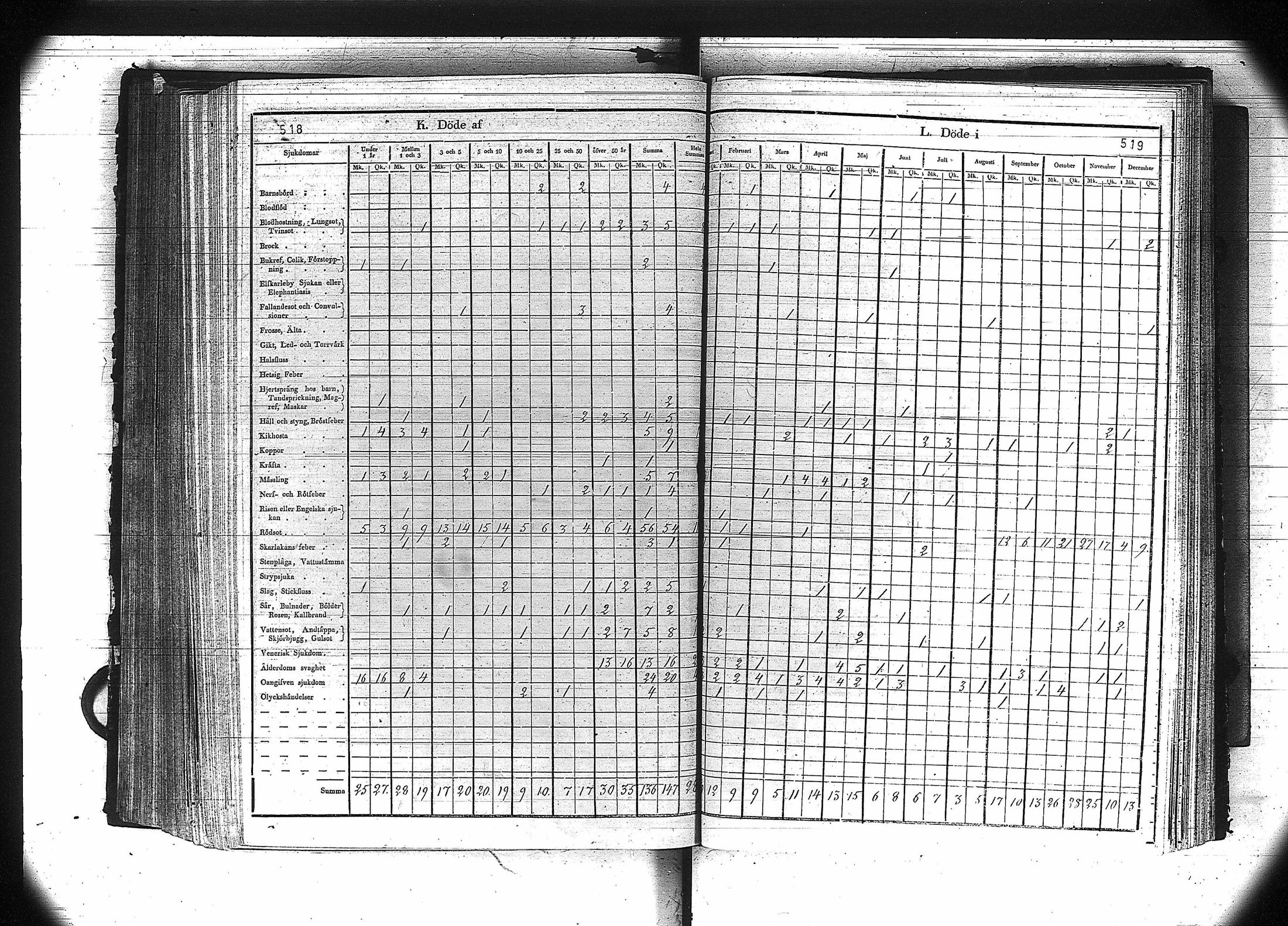 [ kuvat/261.jpg ]