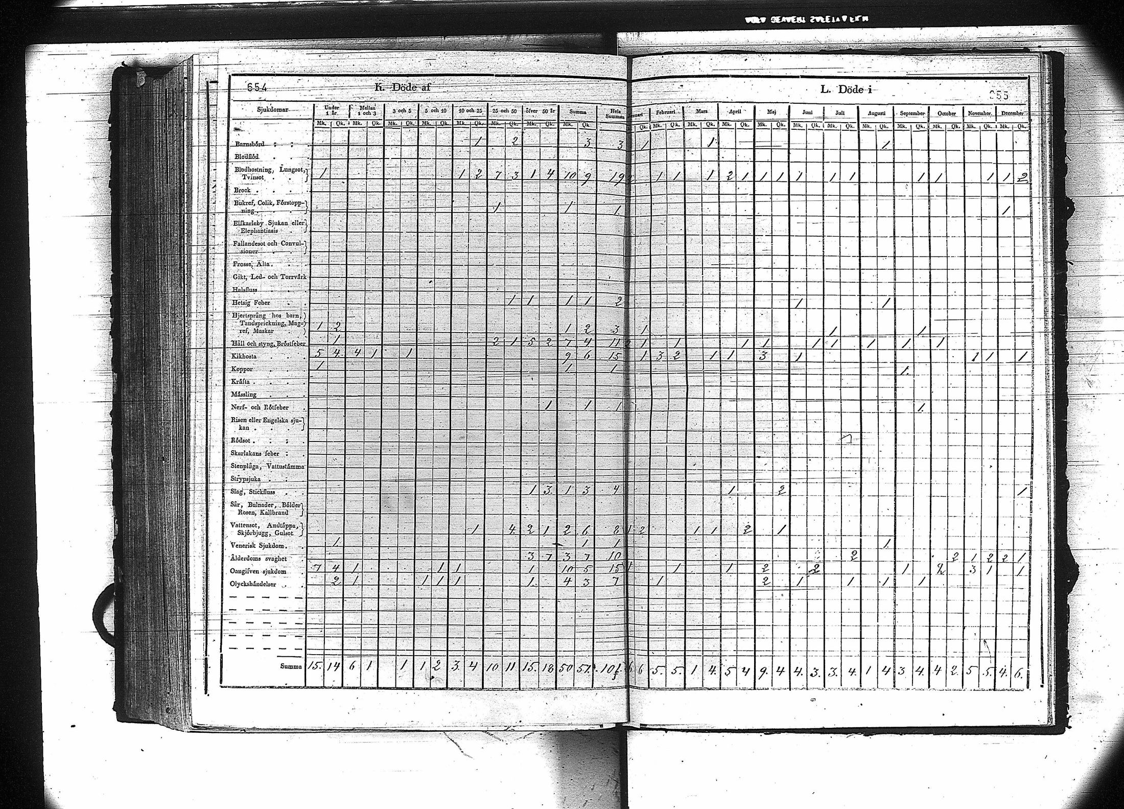 [ kuvat/329.jpg ]