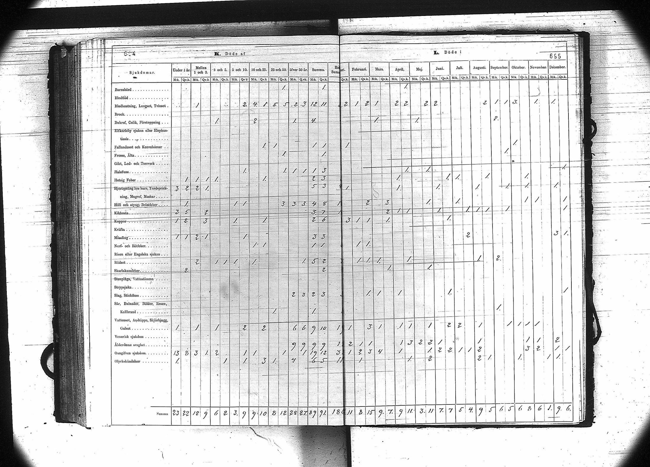 [ kuvat/349.jpg ]