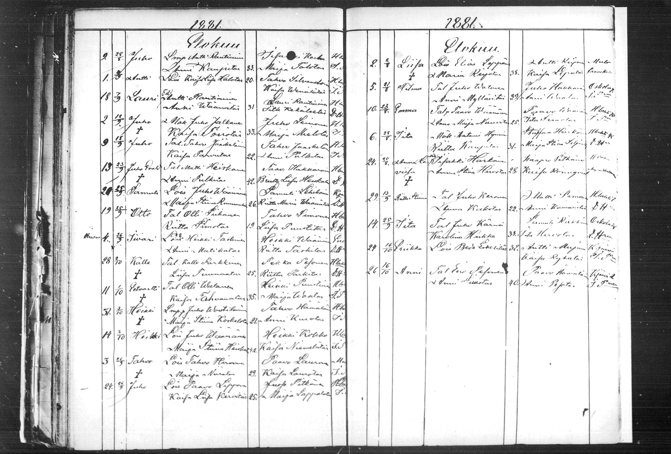 [ kuvat/184.jpg ]