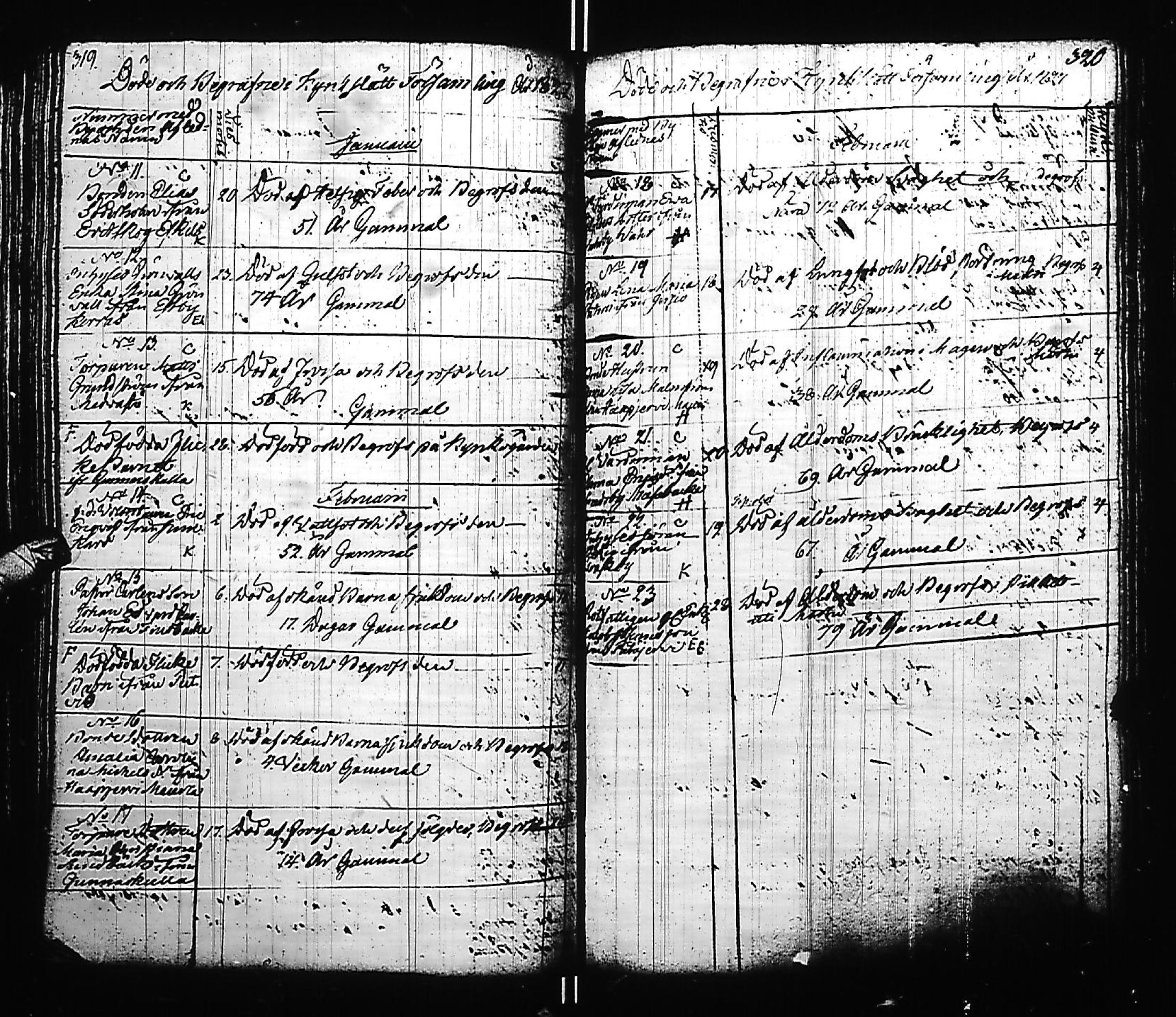 [ kuvat/164.jpg ]