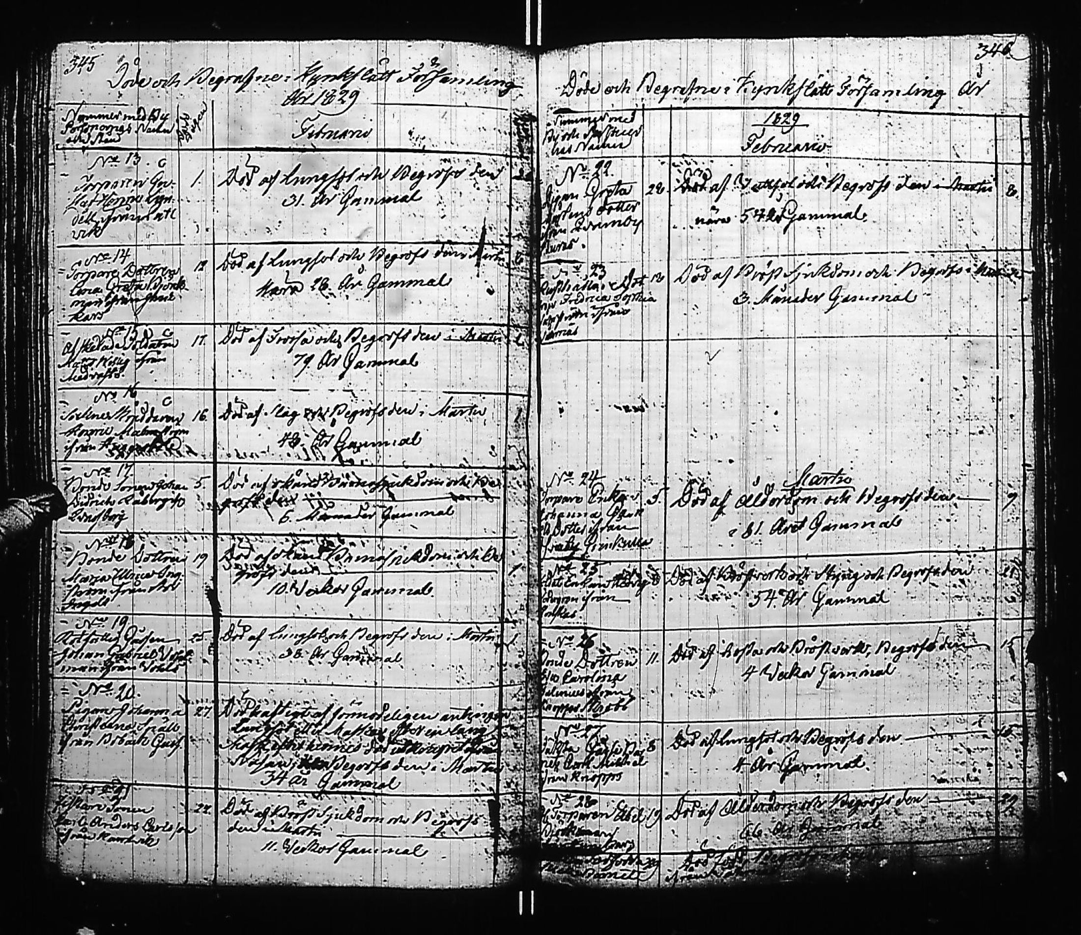 [ kuvat/177.jpg ]