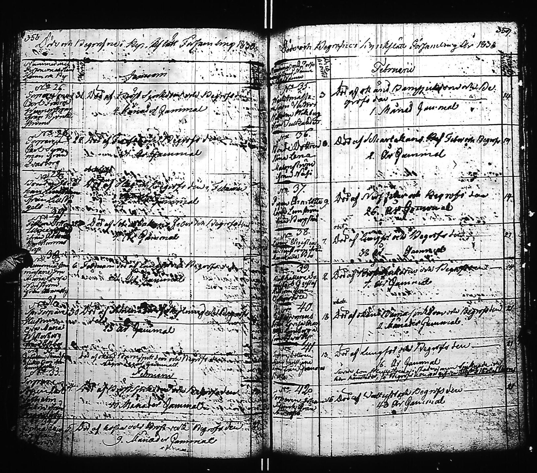 [ kuvat/184.jpg ]