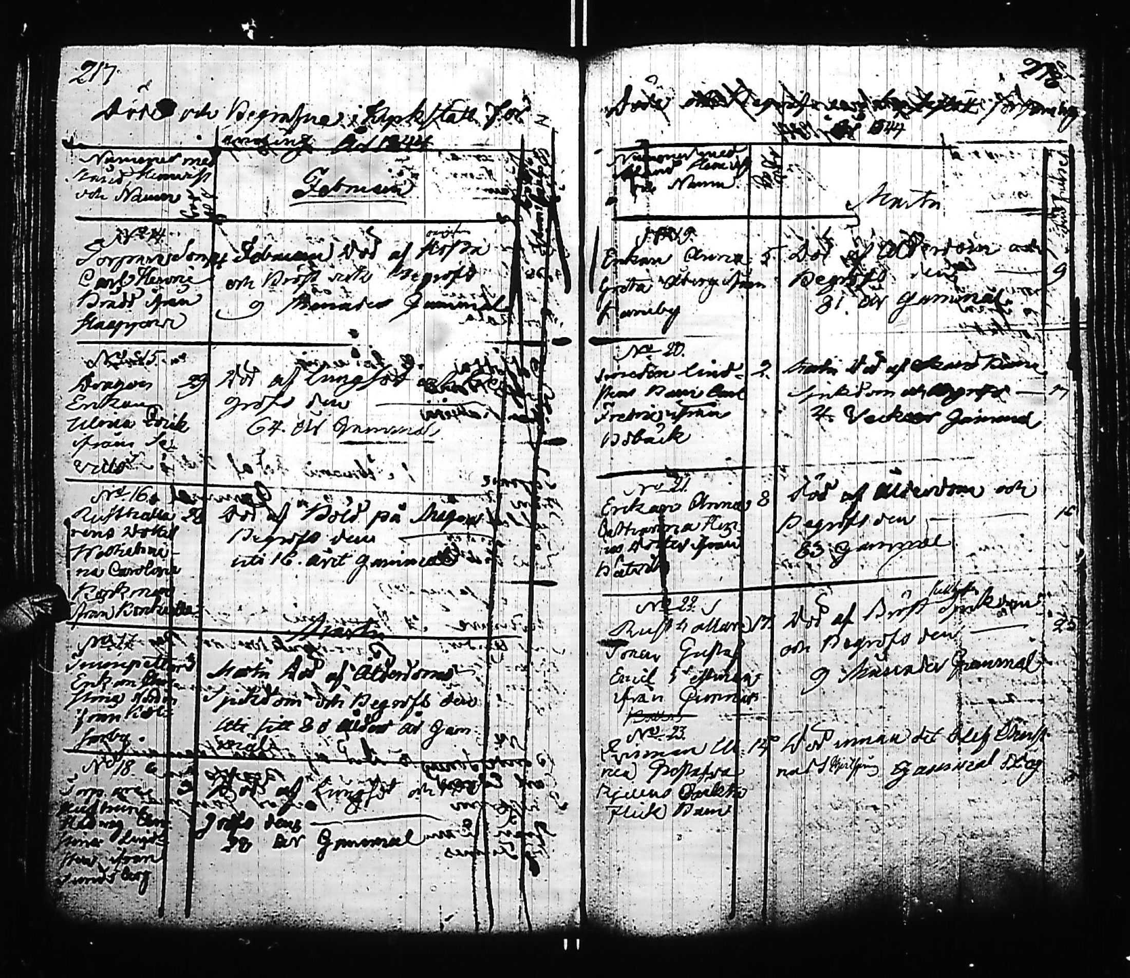 [ kuvat/309.jpg ]
