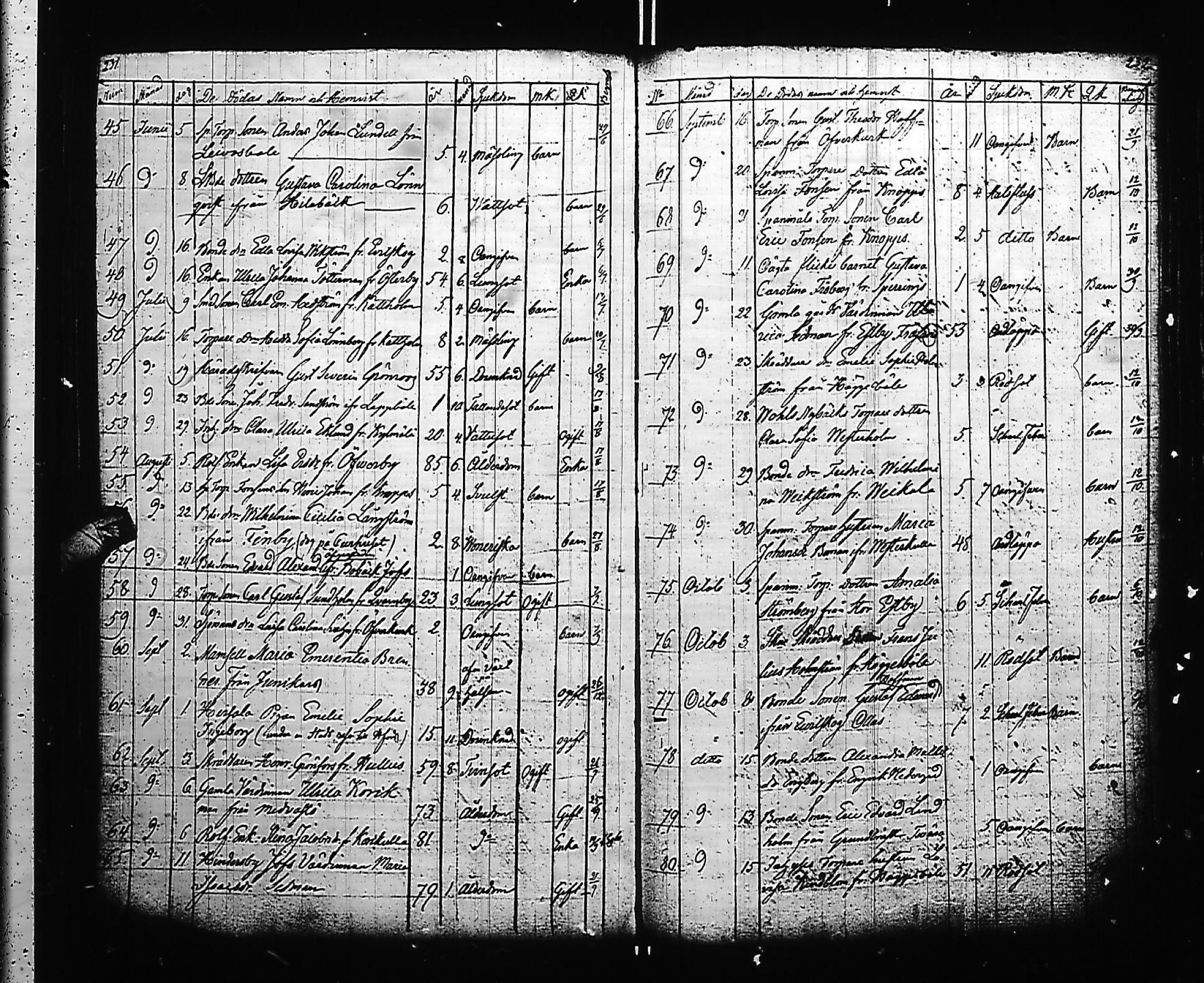 [ kuvat/316.jpg ]