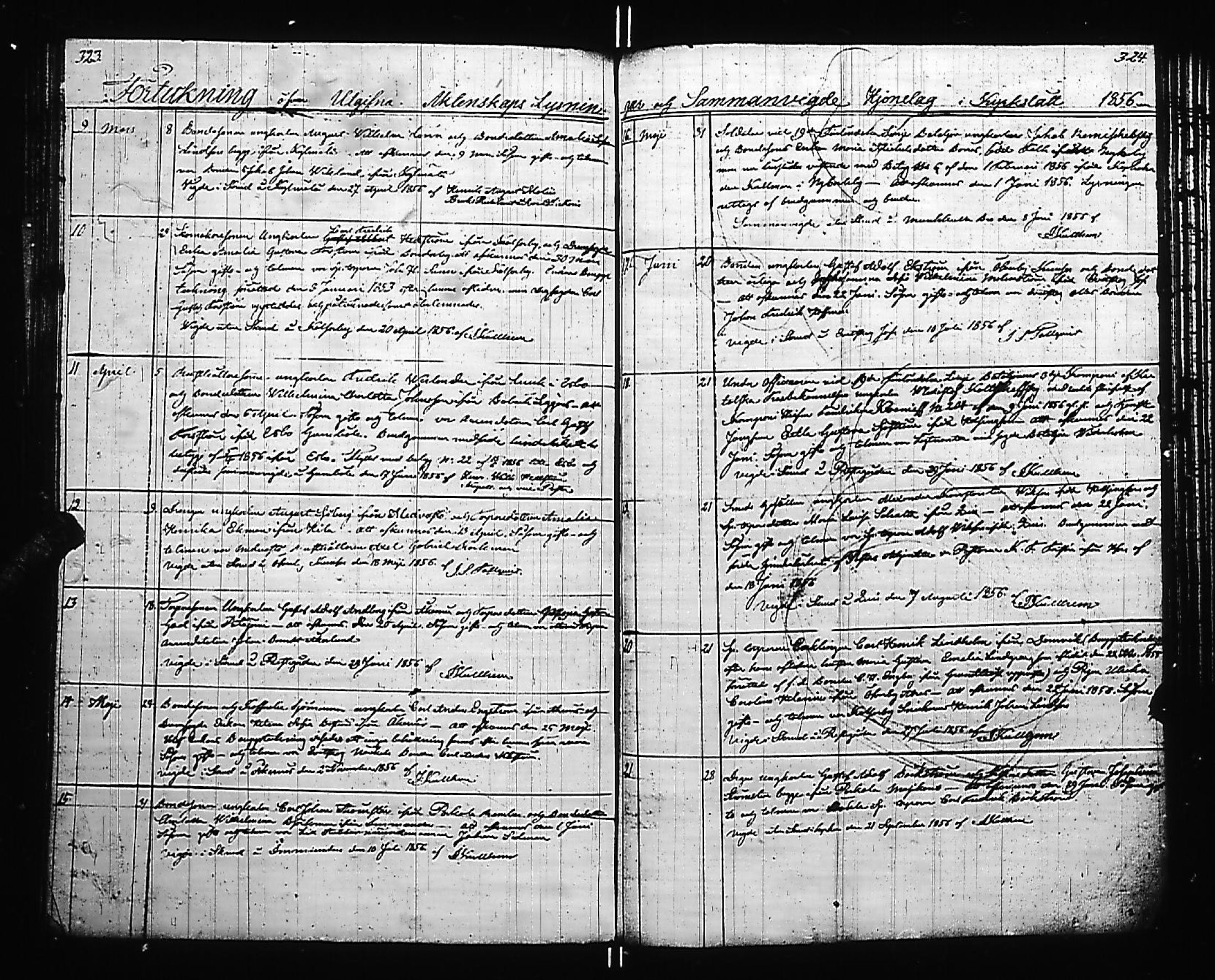[ kuvat/174.jpg ]