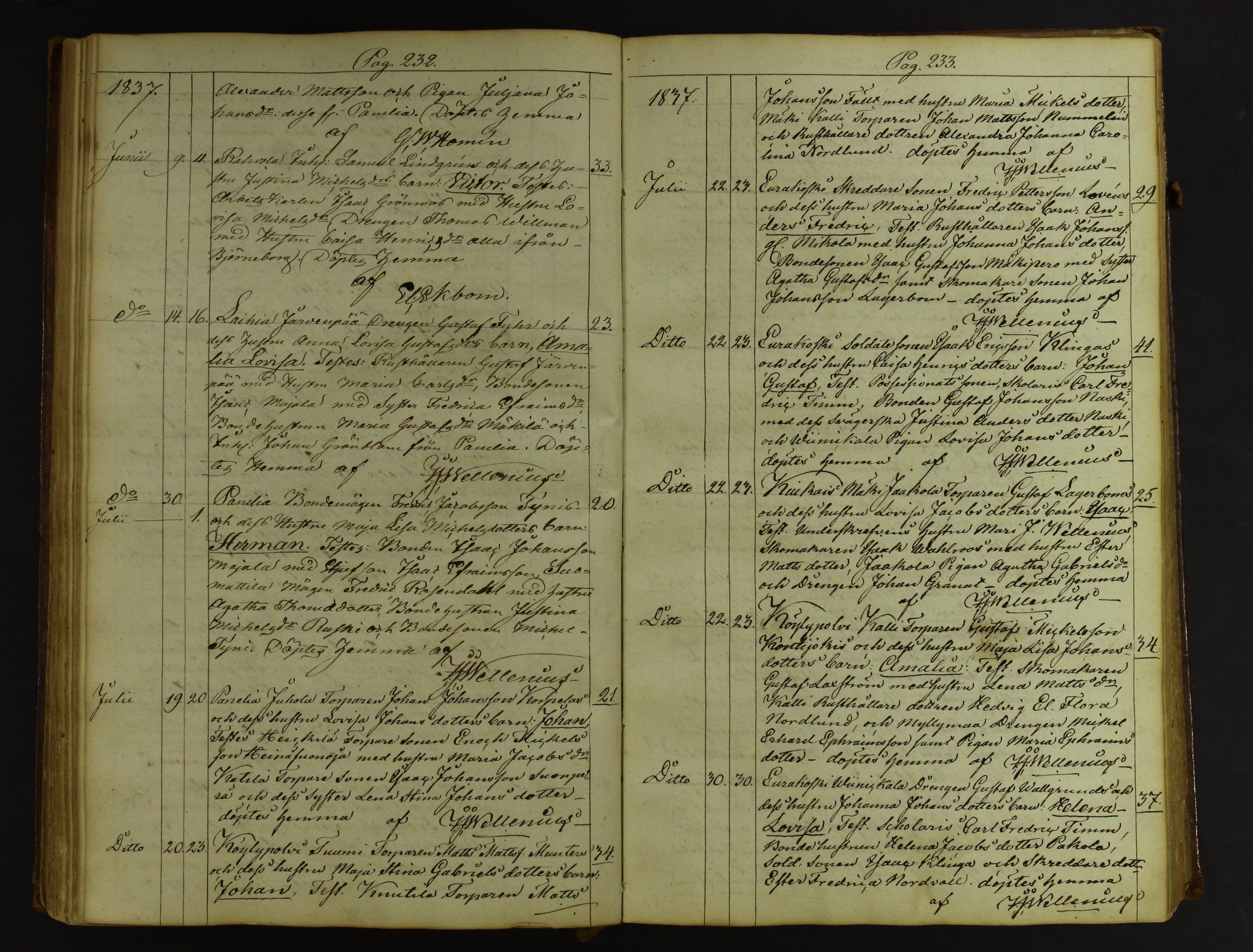 [ kuvat/118.jpg ]