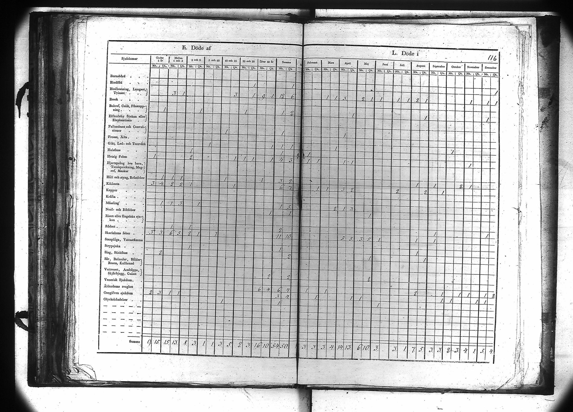 [ kuvat/117.jpg ]