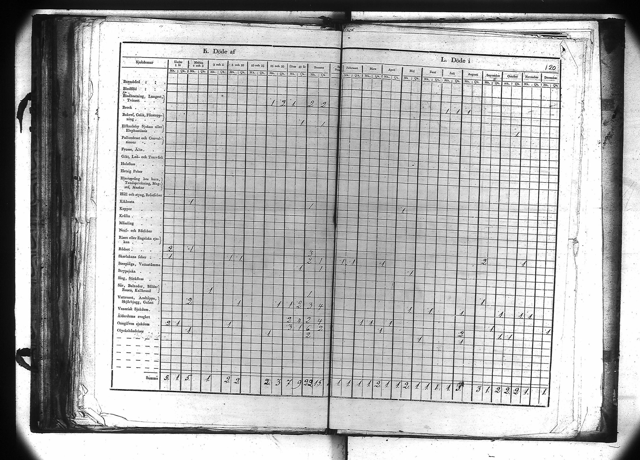 [ kuvat/121.jpg ]