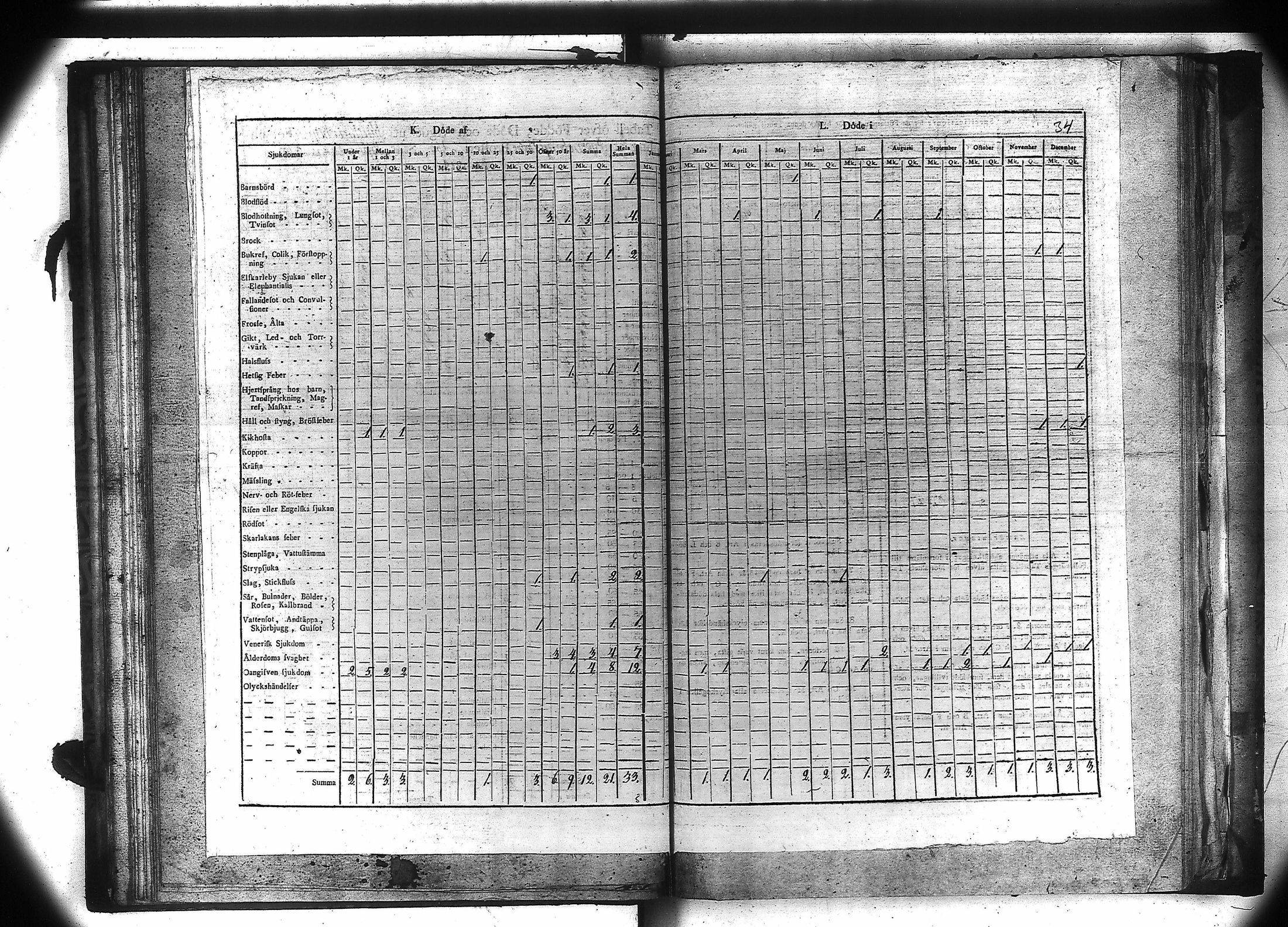 [ kuvat/35.jpg ]