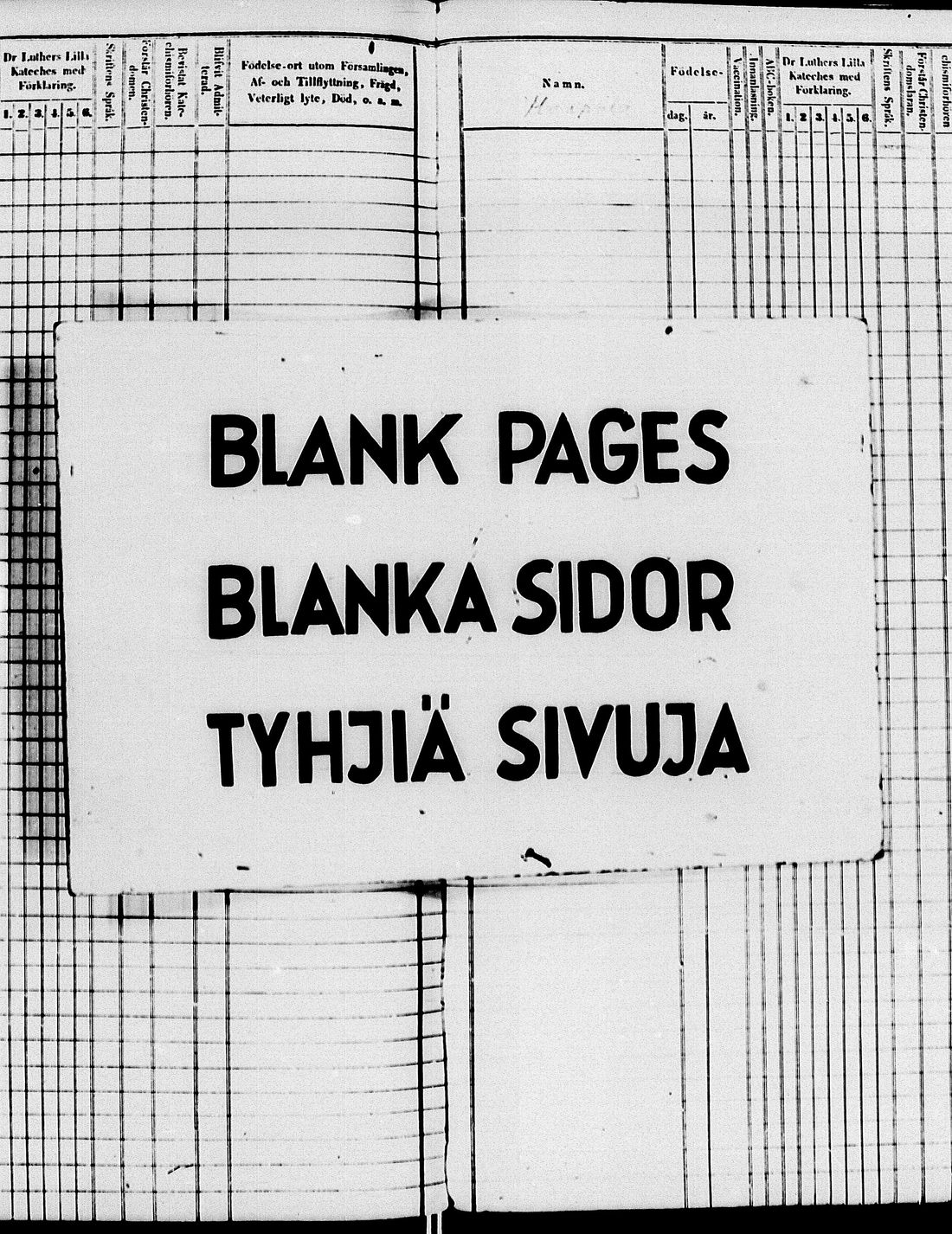 [ kuvat/325.jpg ]