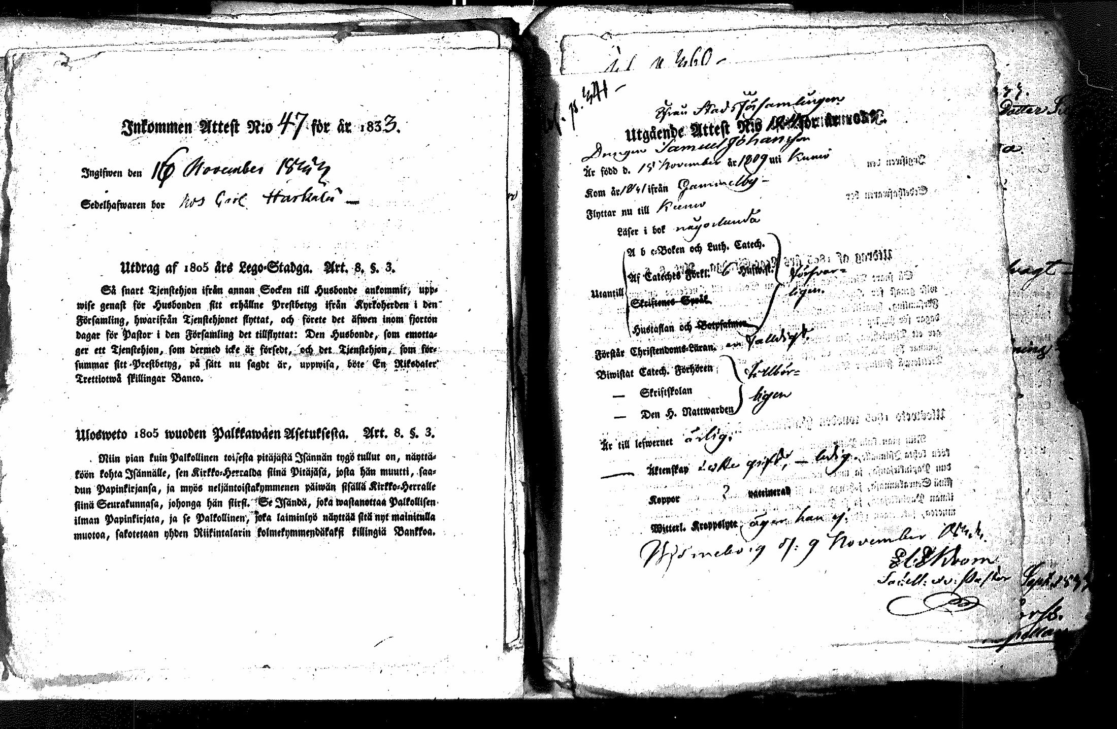 [ kuvat/191.jpg ]