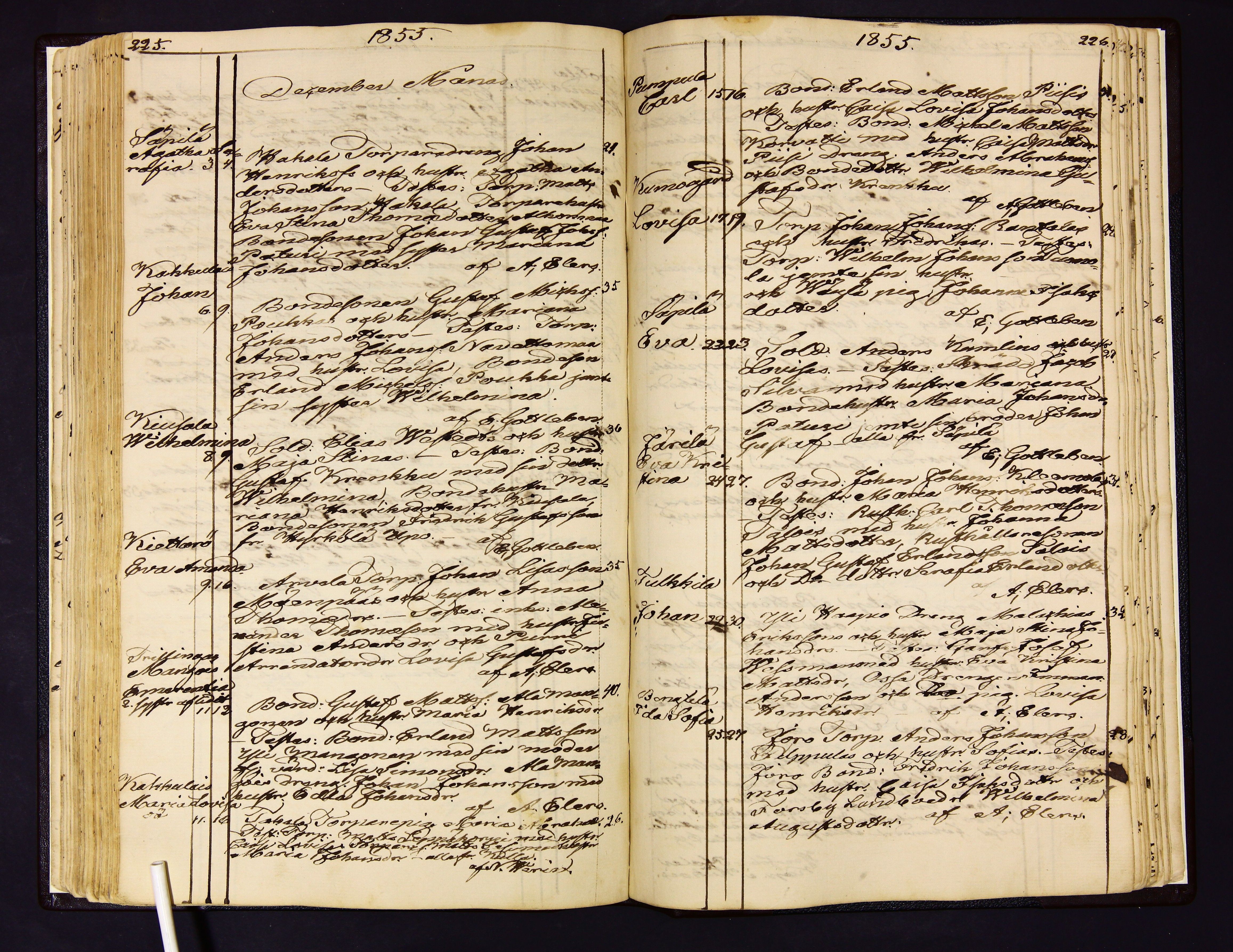 [ kuvat/167.jpg ]