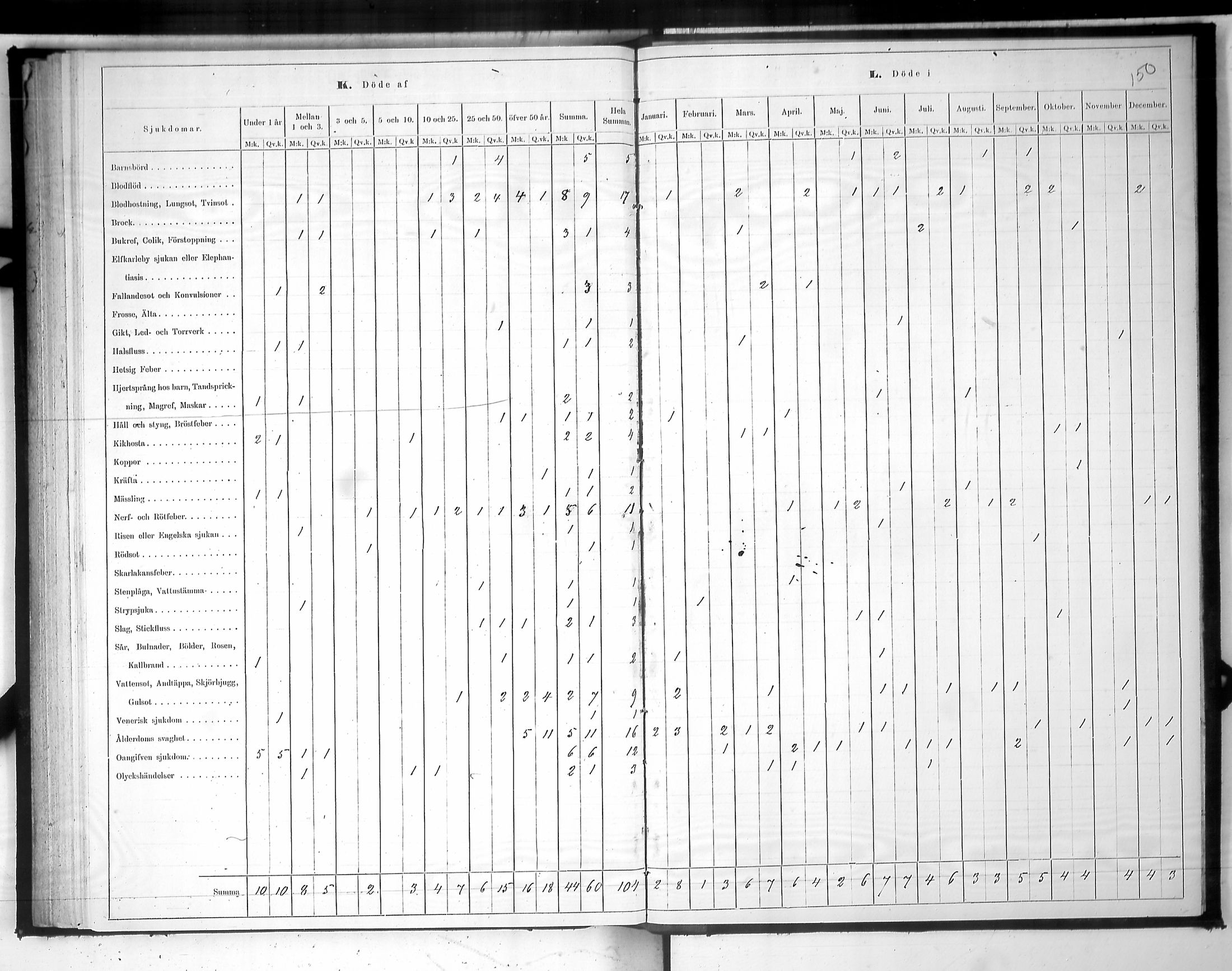 [ kuvat/182.jpg ]