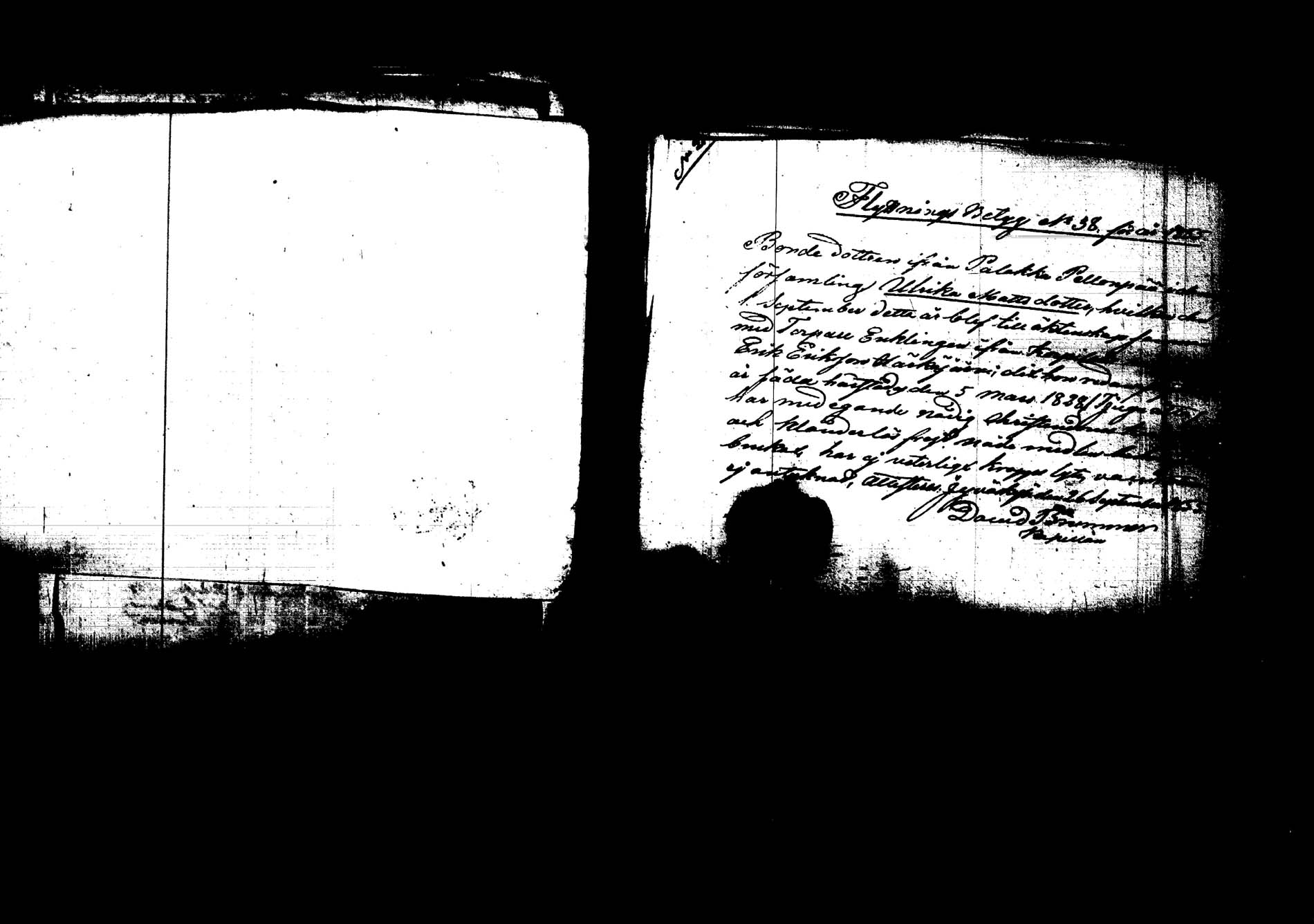 [ kuvat/161.jpg ]