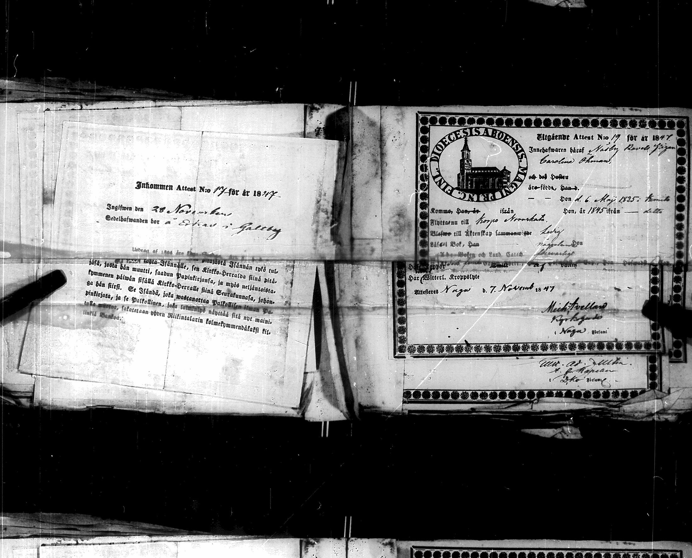 [ kuvat/173.jpg ]