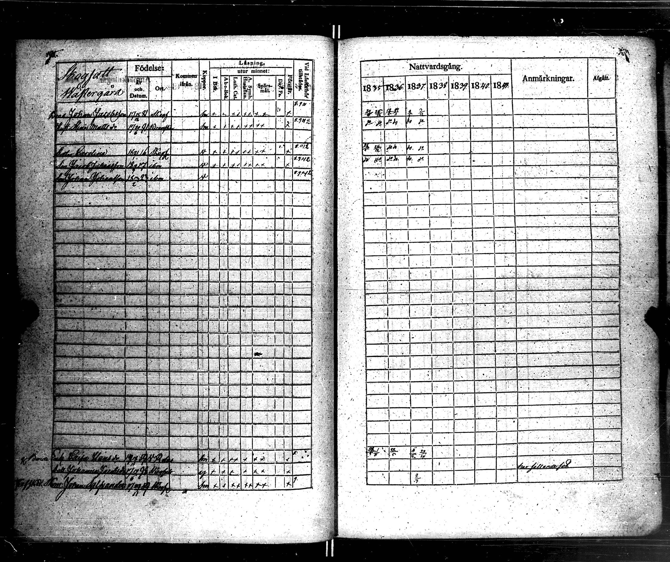 [ kuvat/207.jpg ]