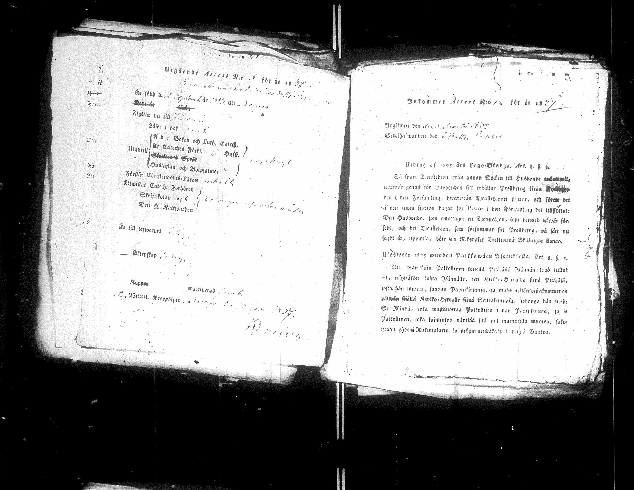 [ kuvat/235.jpg ]