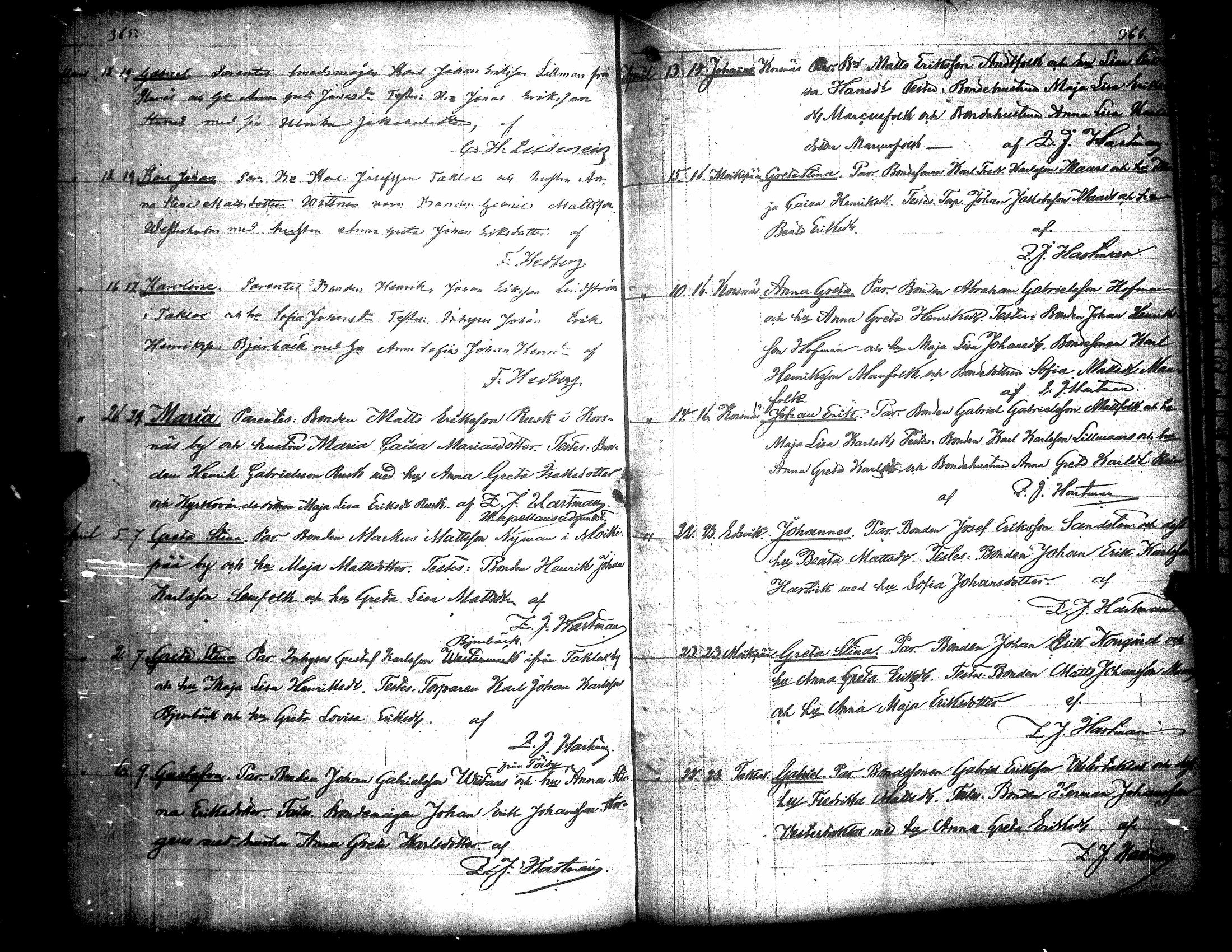 [ kuvat/191.jpg ]