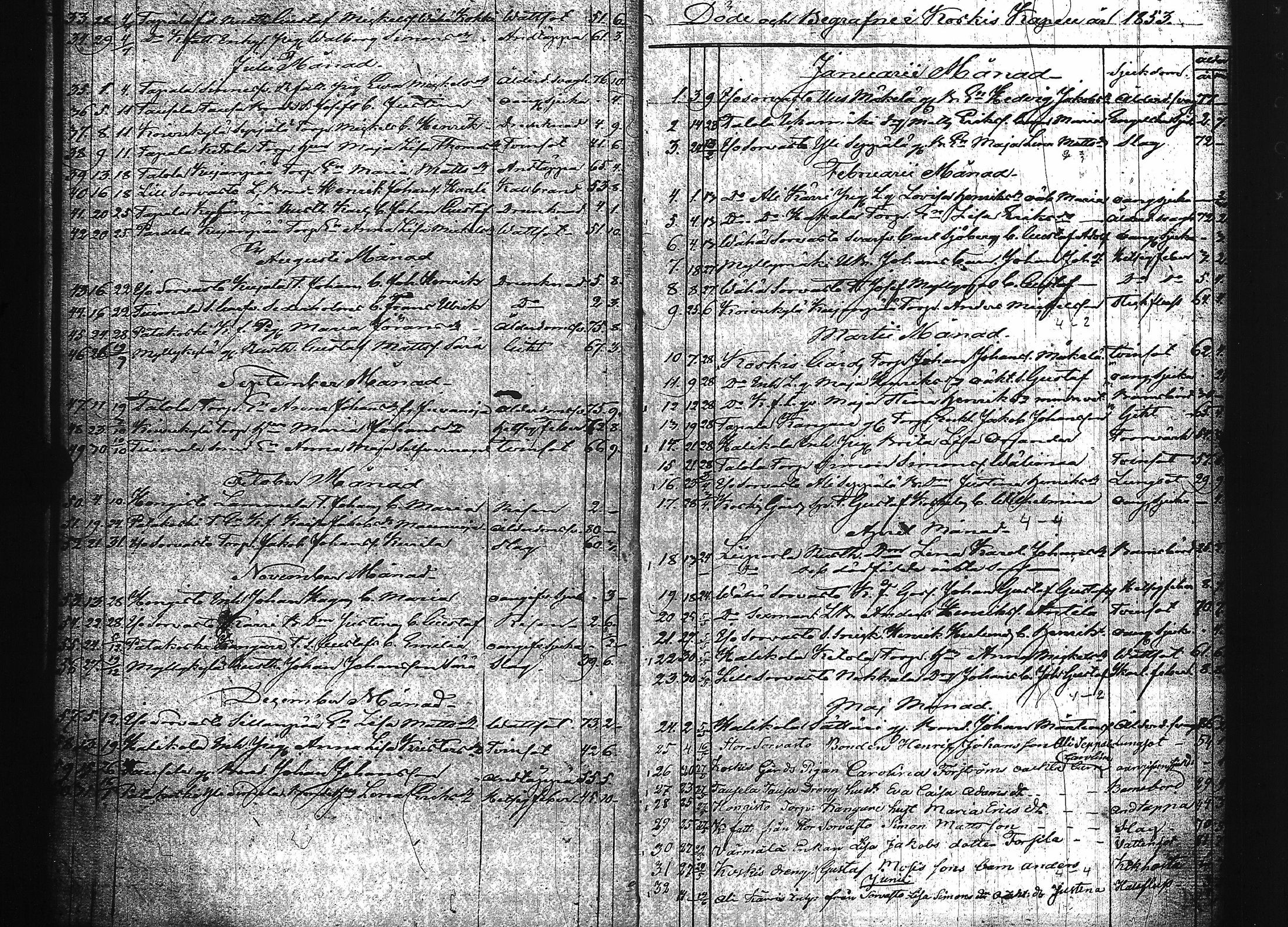 [ kuvat/19.jpg ]