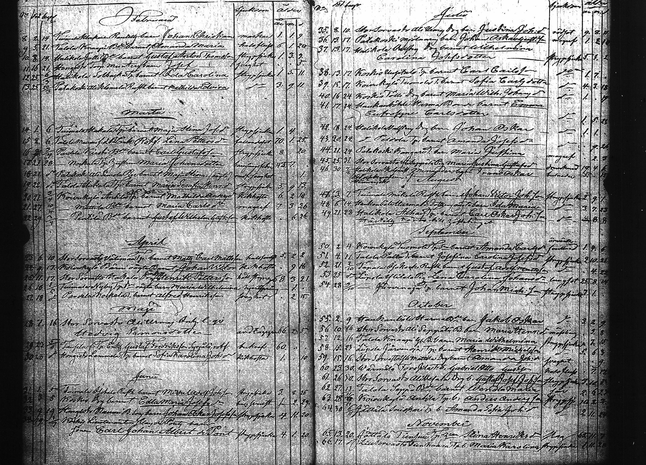 [ kuvat/37.jpg ]