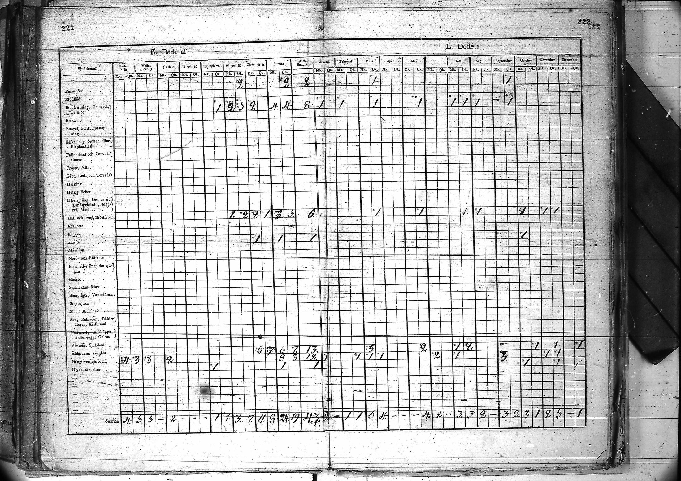 [ kuvat/116.jpg ]