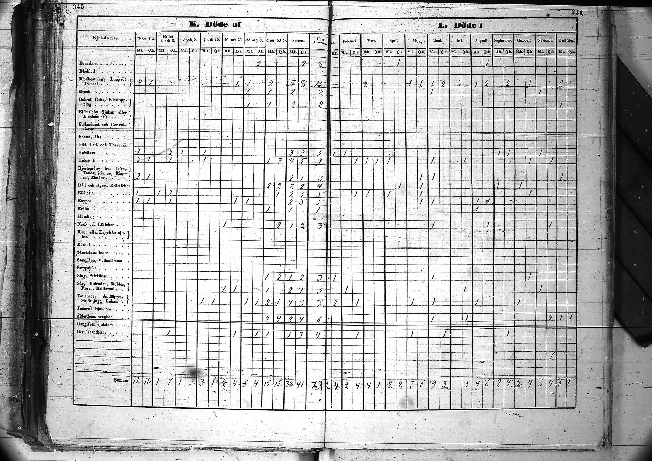 [ kuvat/178.jpg ]