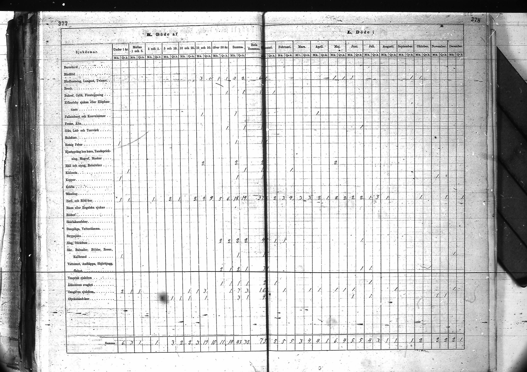 [ kuvat/194.jpg ]