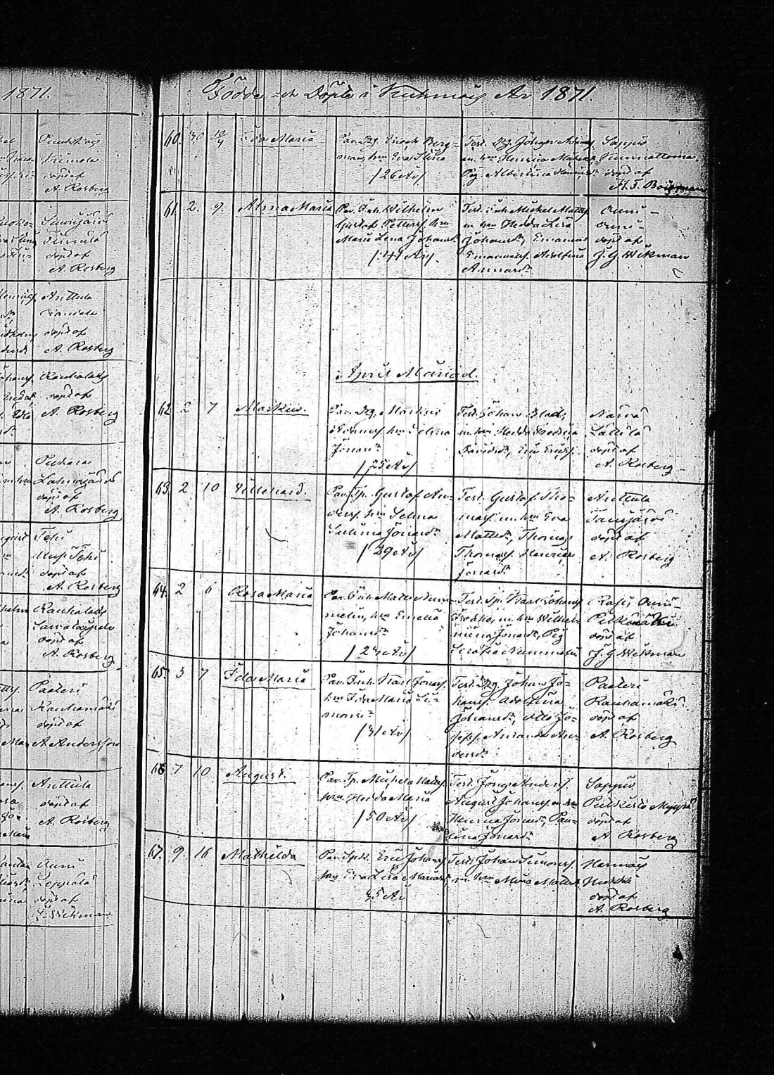 [ kuvat/182.jpg ]