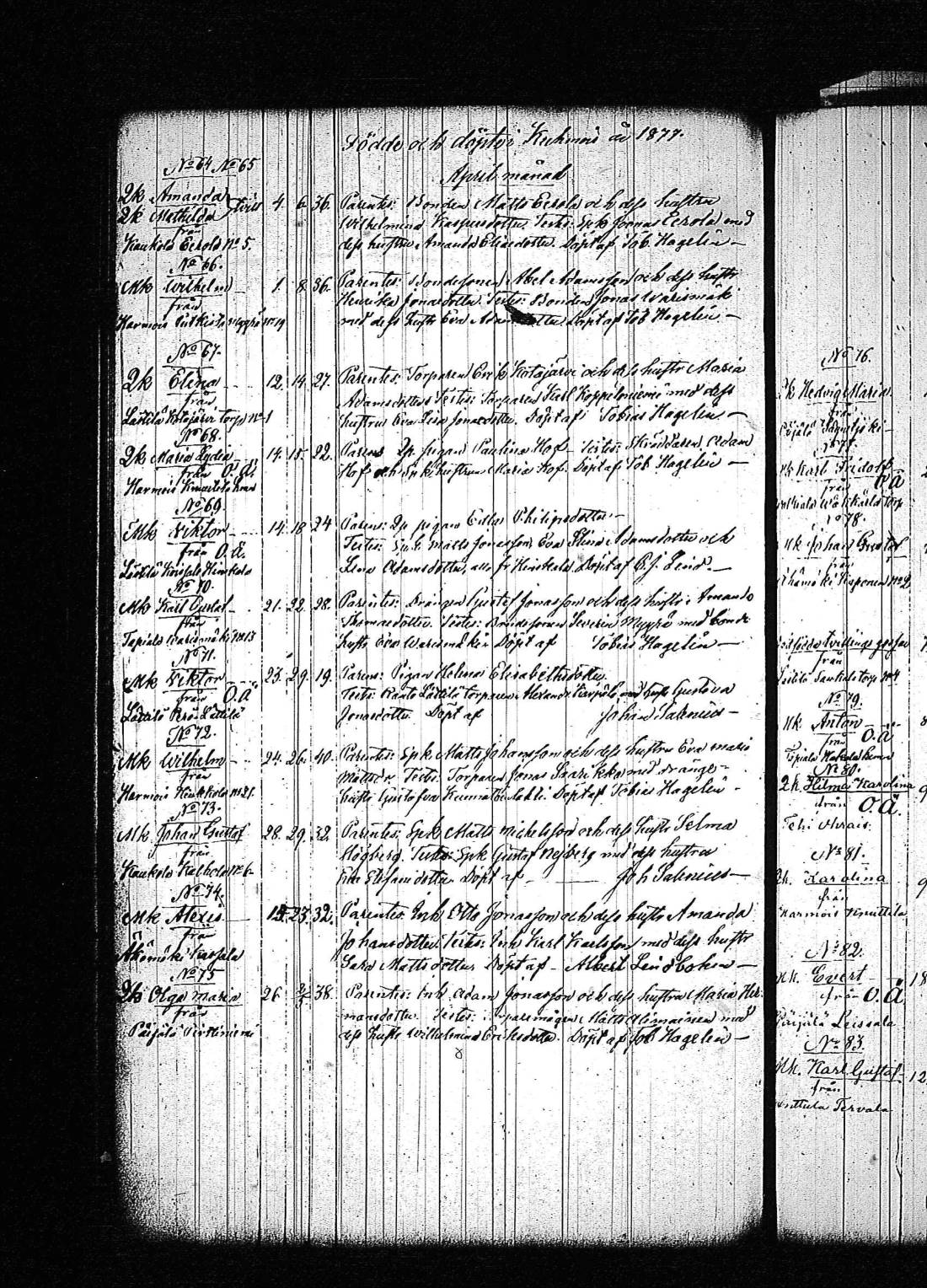 [ kuvat/323.jpg ]